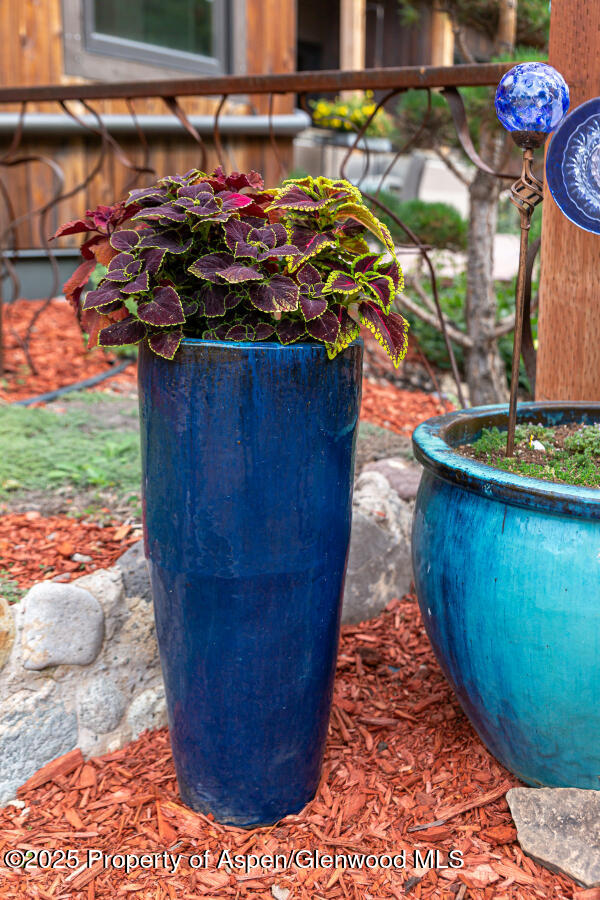 640 Lincoln Avenue Carbondale CO 81623