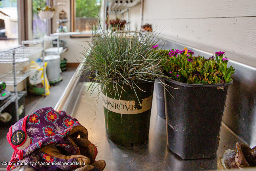 640 Lincoln Avenue Carbondale CO 81623