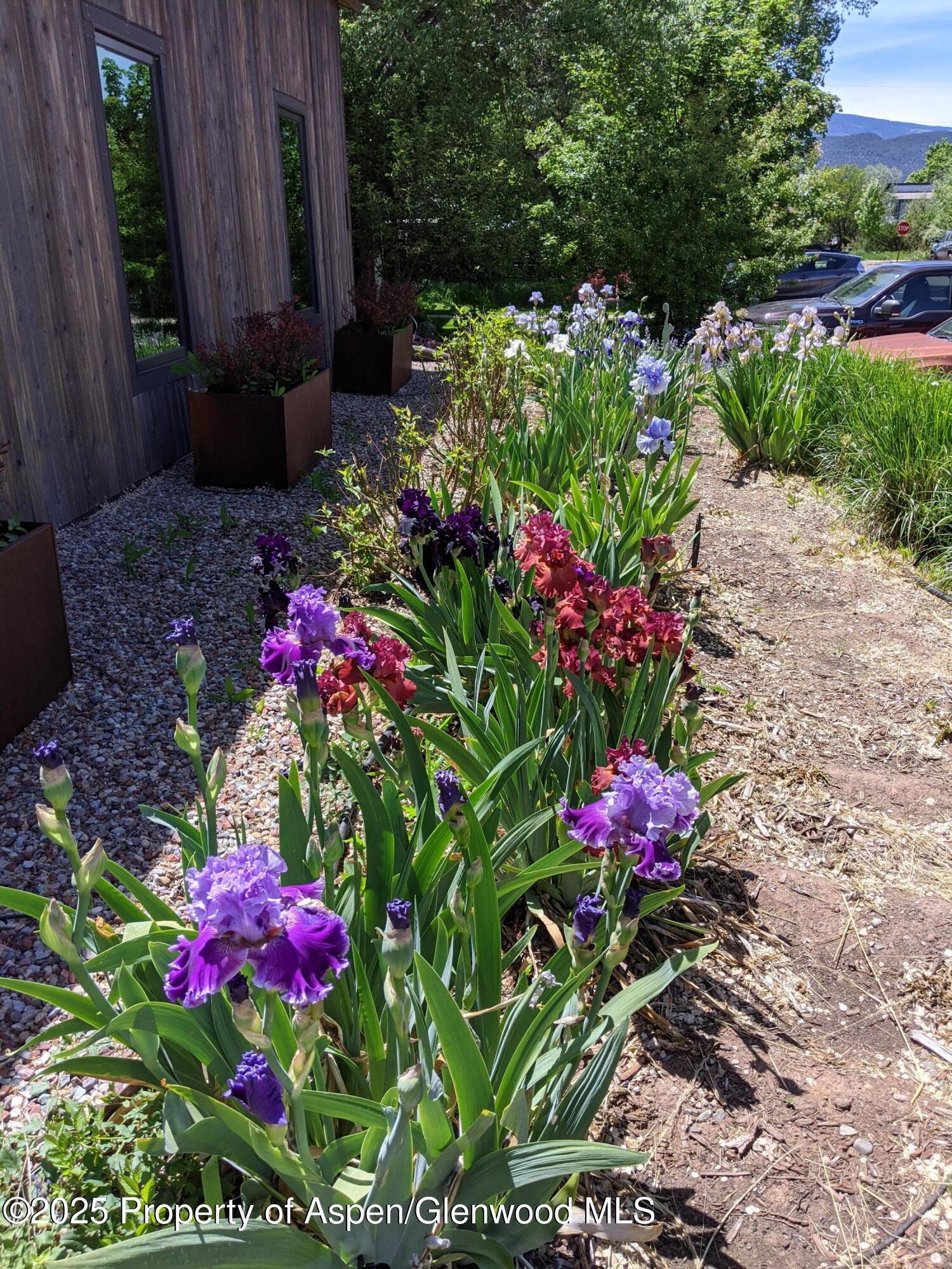 640 Lincoln Avenue Carbondale CO 81623