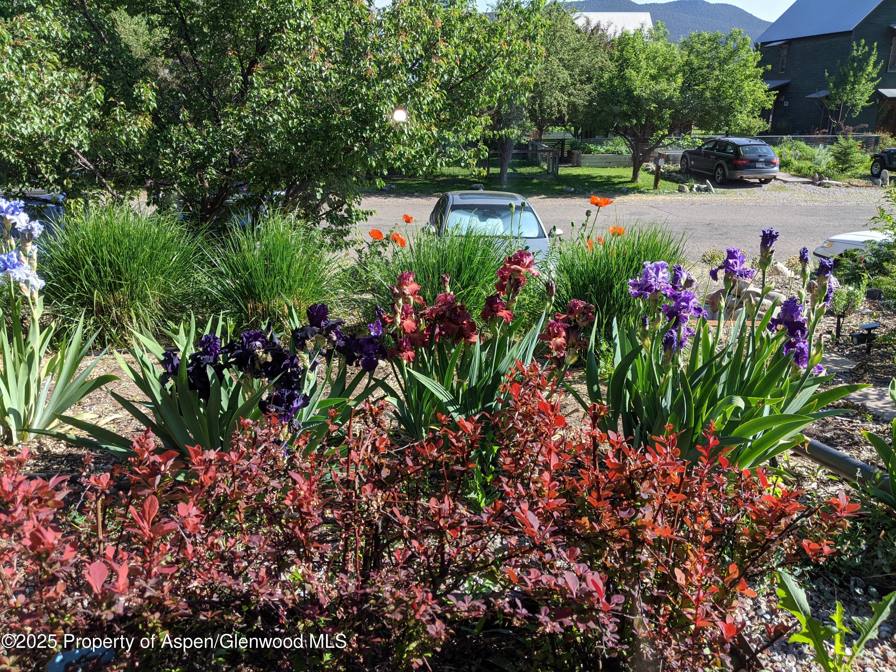 640 Lincoln Avenue Carbondale CO 81623