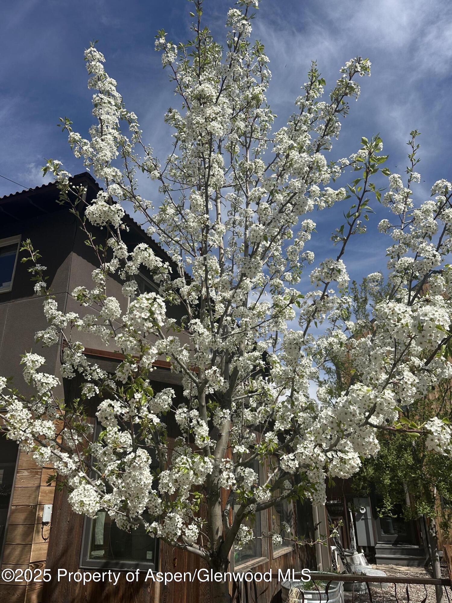 640 Lincoln Avenue Carbondale CO 81623