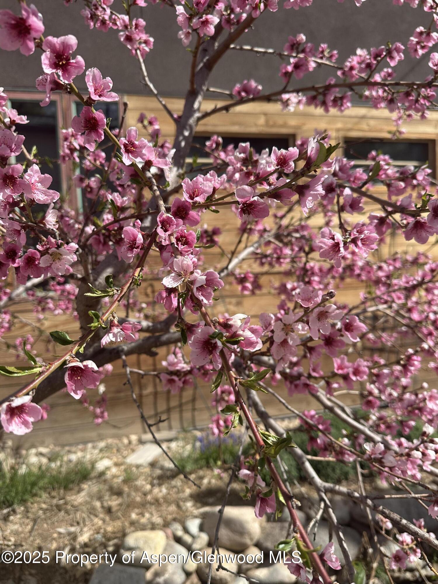 640 Lincoln Avenue Carbondale CO 81623