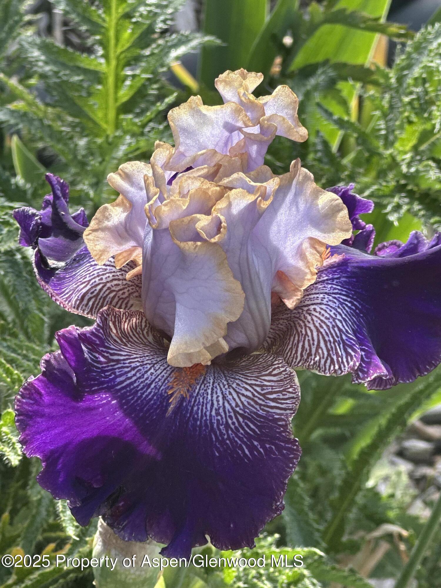 640 Lincoln Avenue Carbondale CO 81623