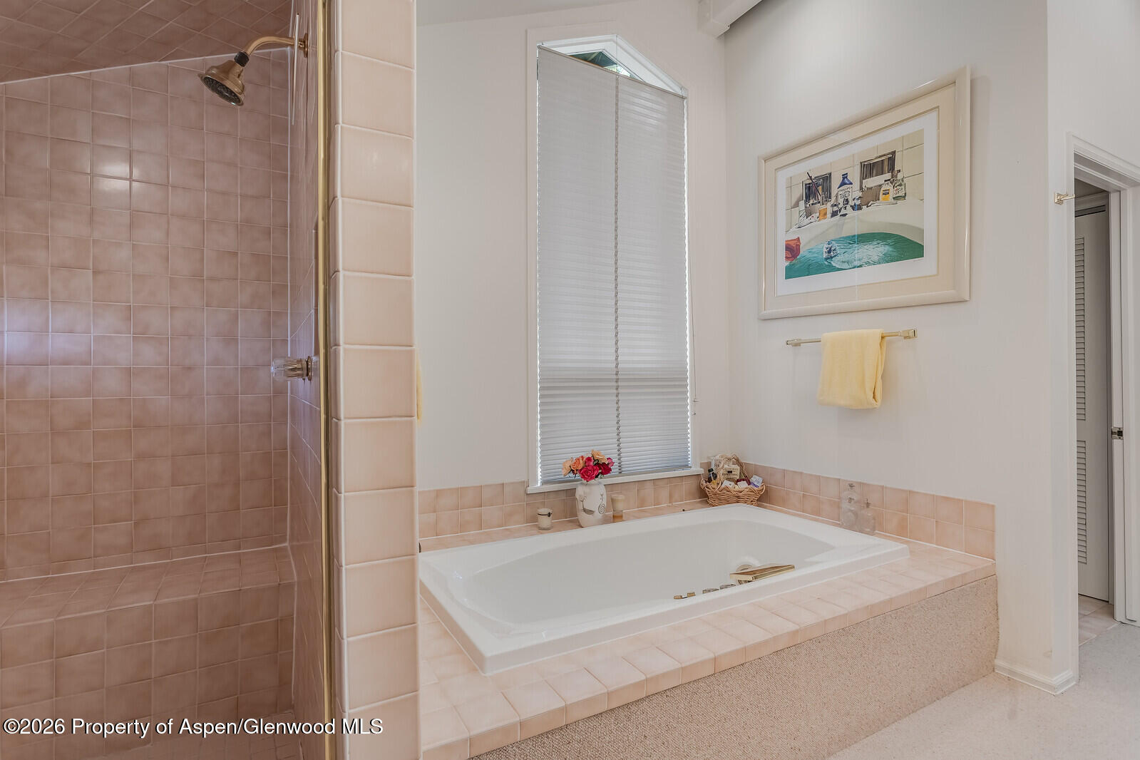 921 Faraway Road Snowmass Village CO 81615