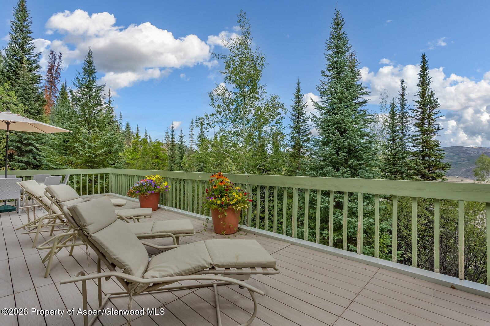 921 Faraway Road Snowmass Village CO 81615