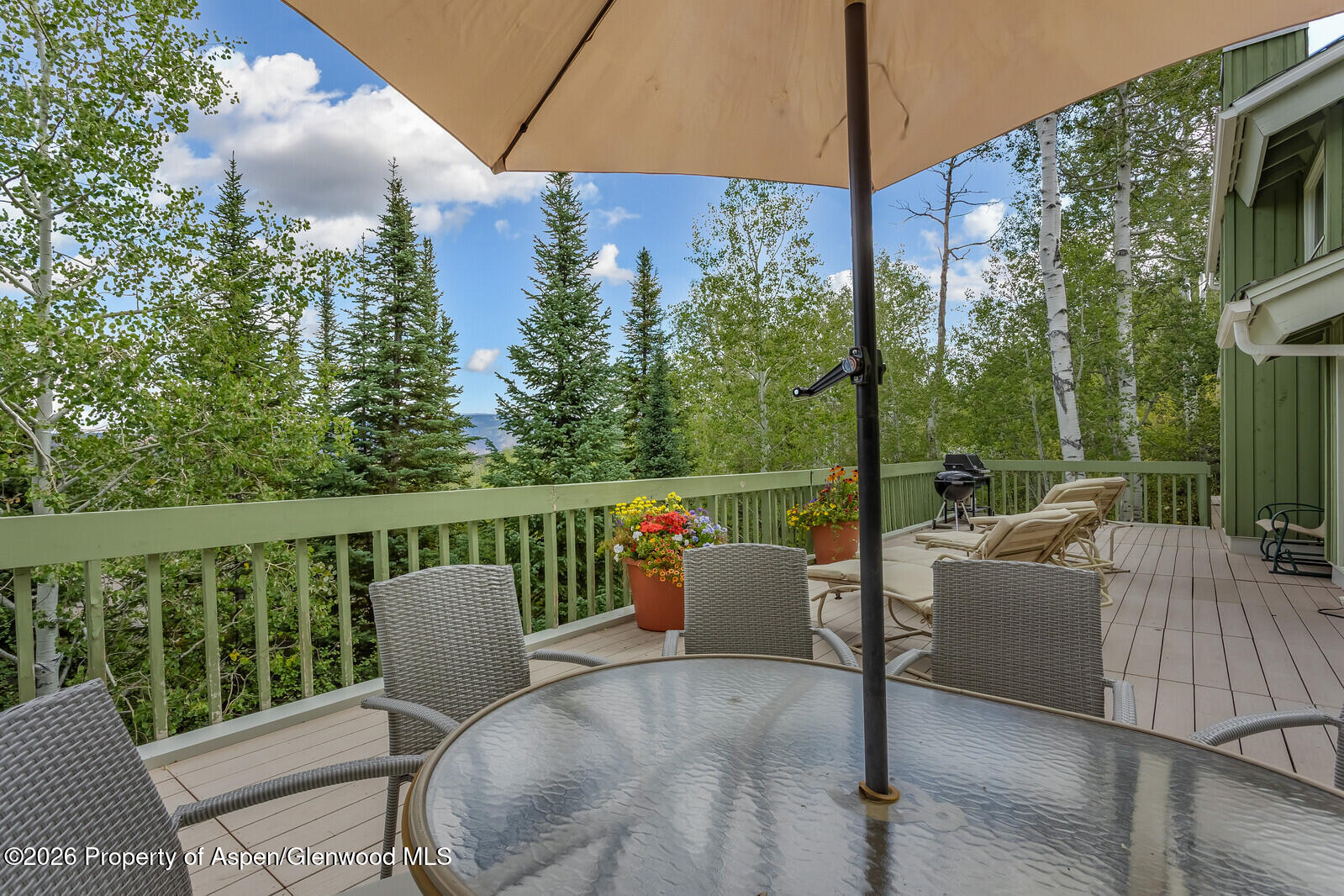 921 Faraway Road Snowmass Village CO 81615