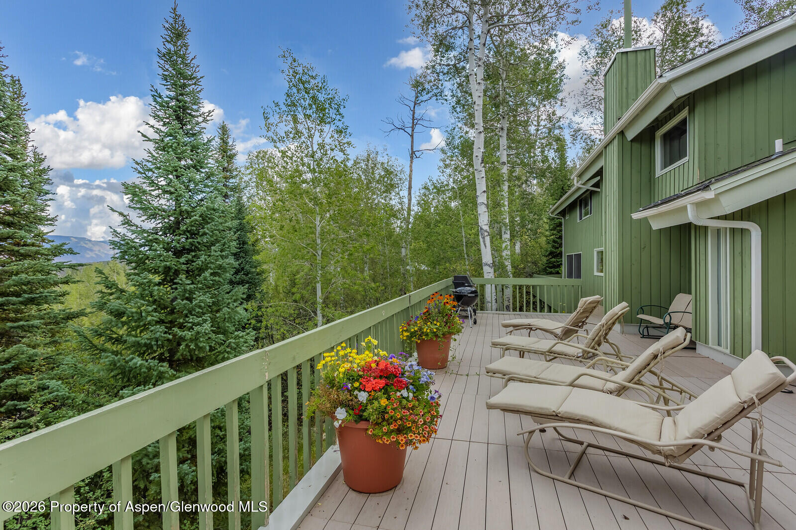 921 Faraway Road Snowmass Village CO 81615