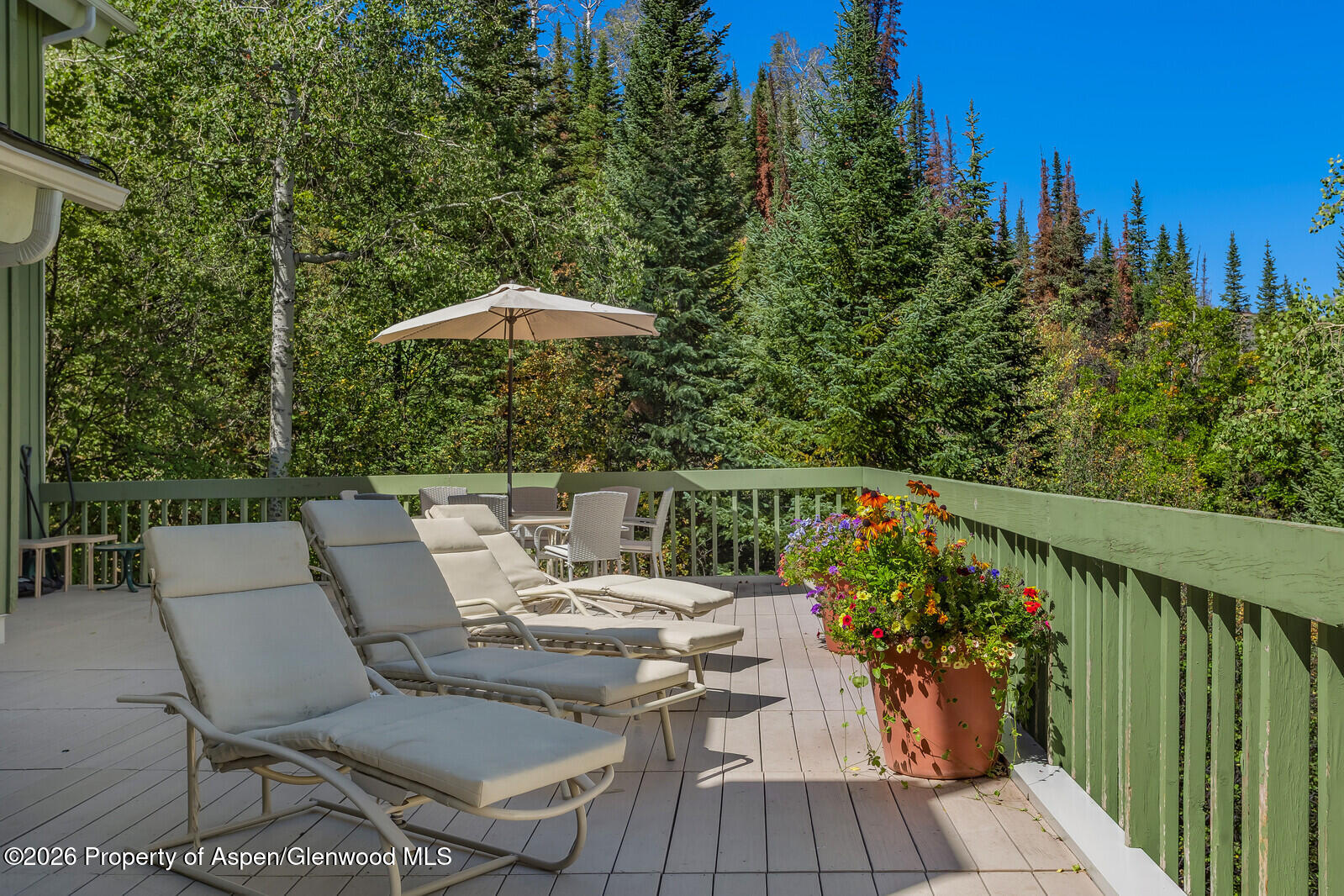 921 Faraway Road Snowmass Village CO 81615