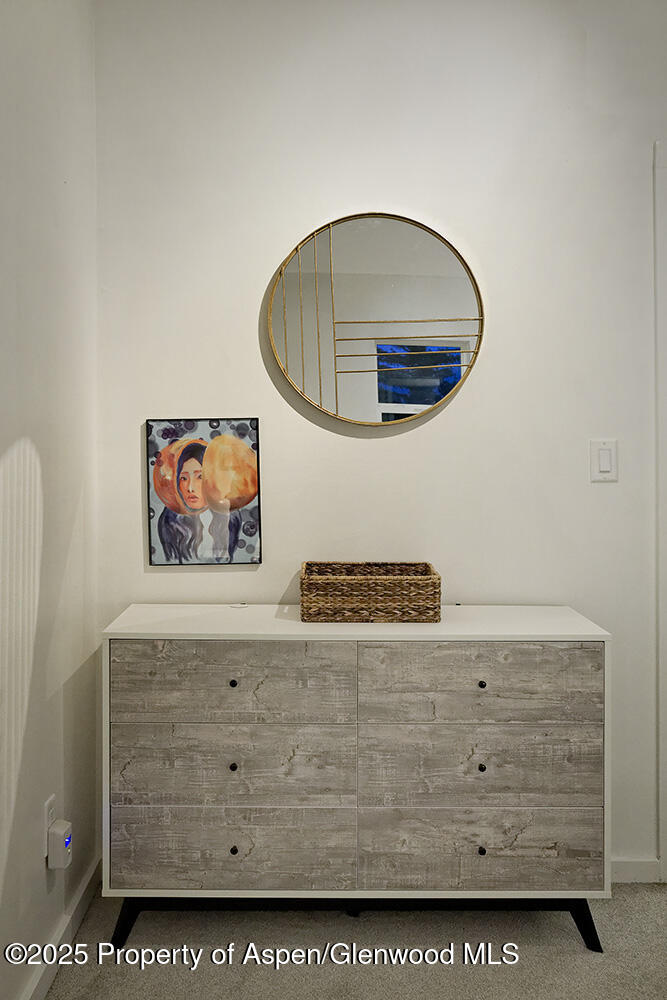 26 Twining Flats Road Aspen CO 81611