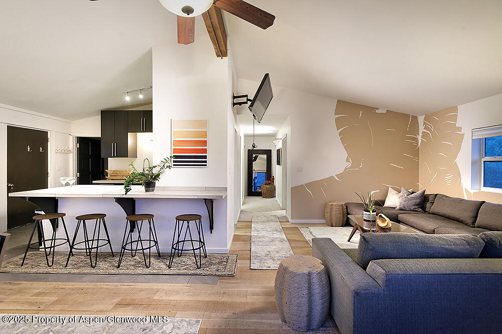 26 Twining Flats Road Aspen CO 81611