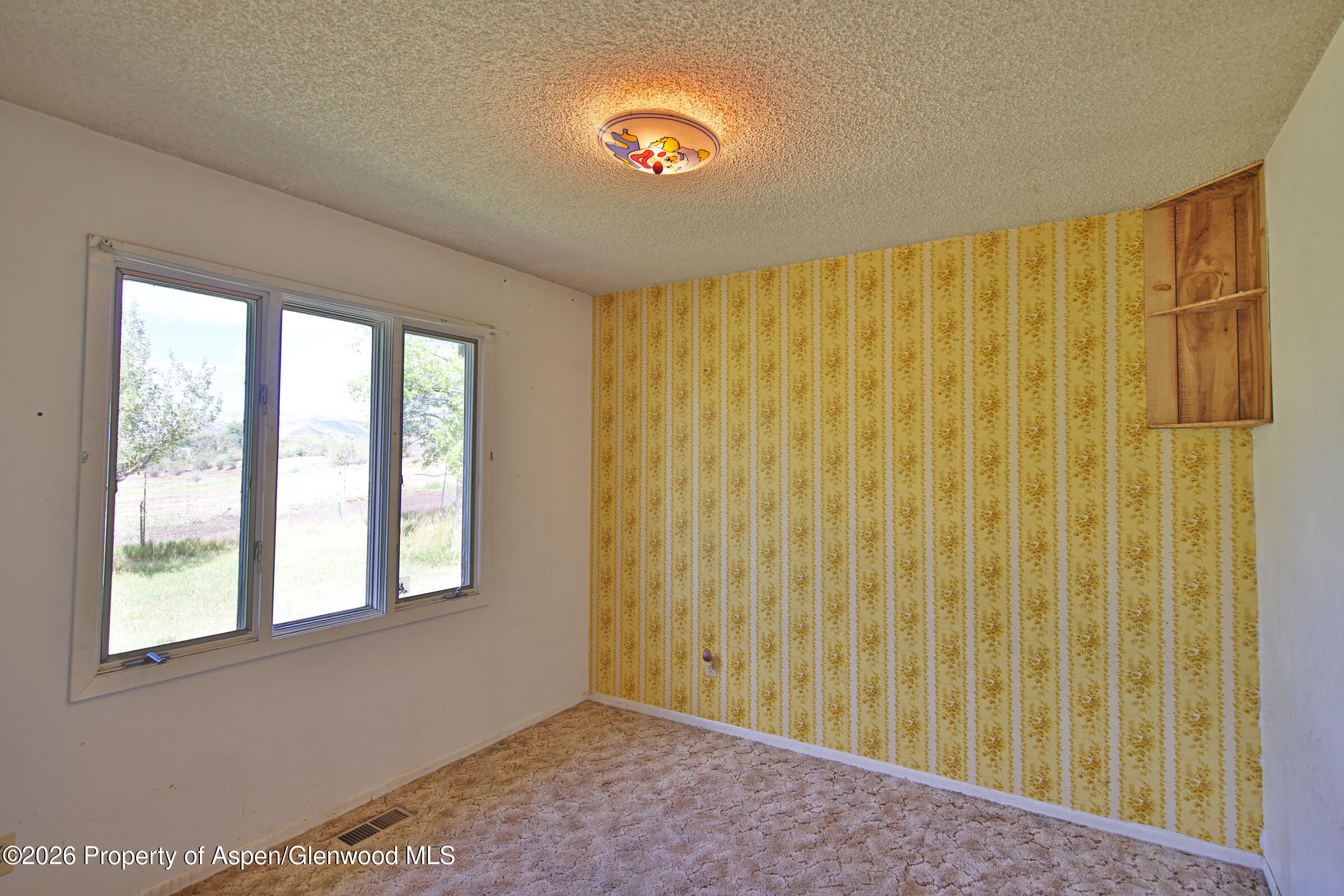 15510 59 1/2 Road Collbran CO 81624