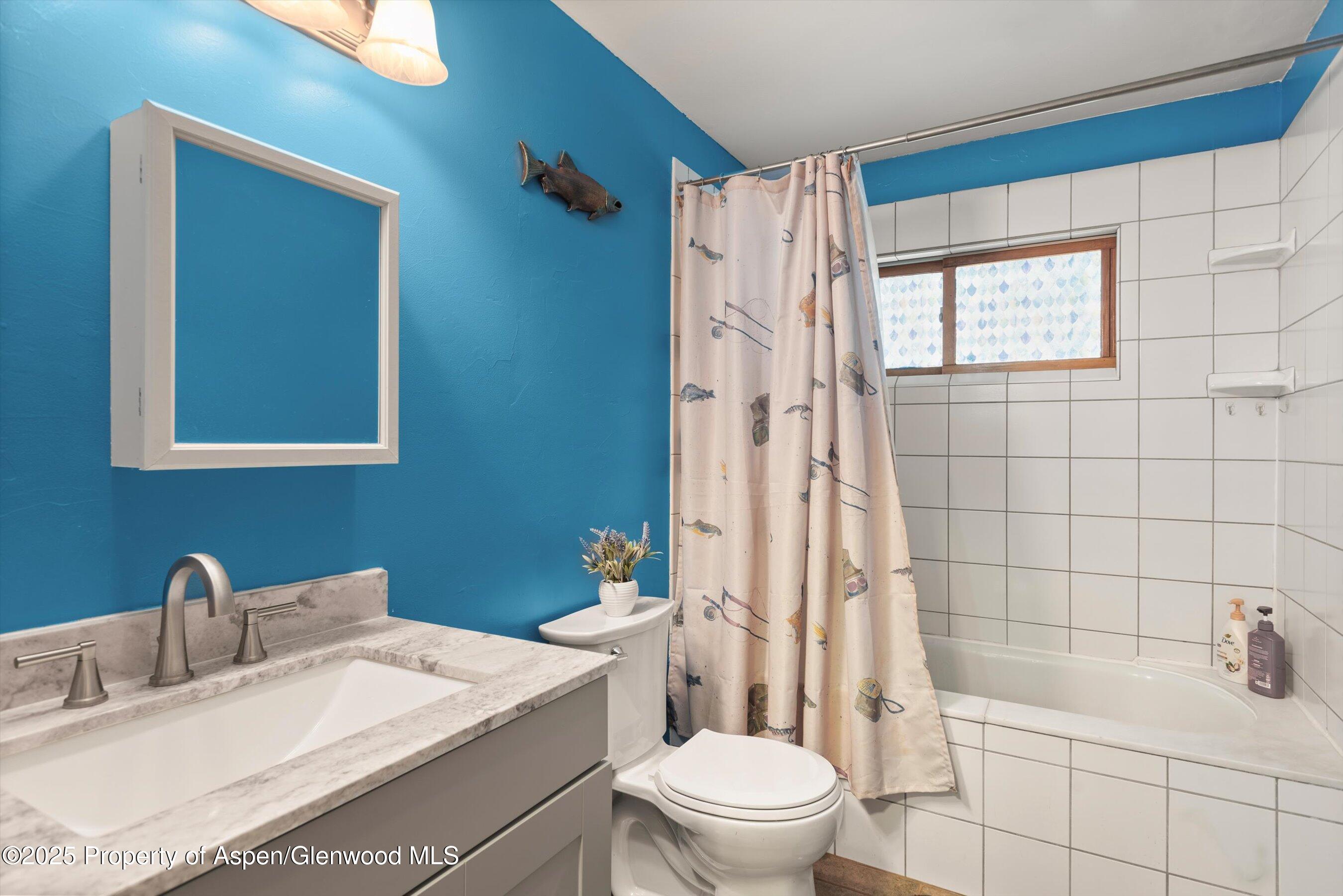 4696 County Road 154 Glenwood Springs CO 81601