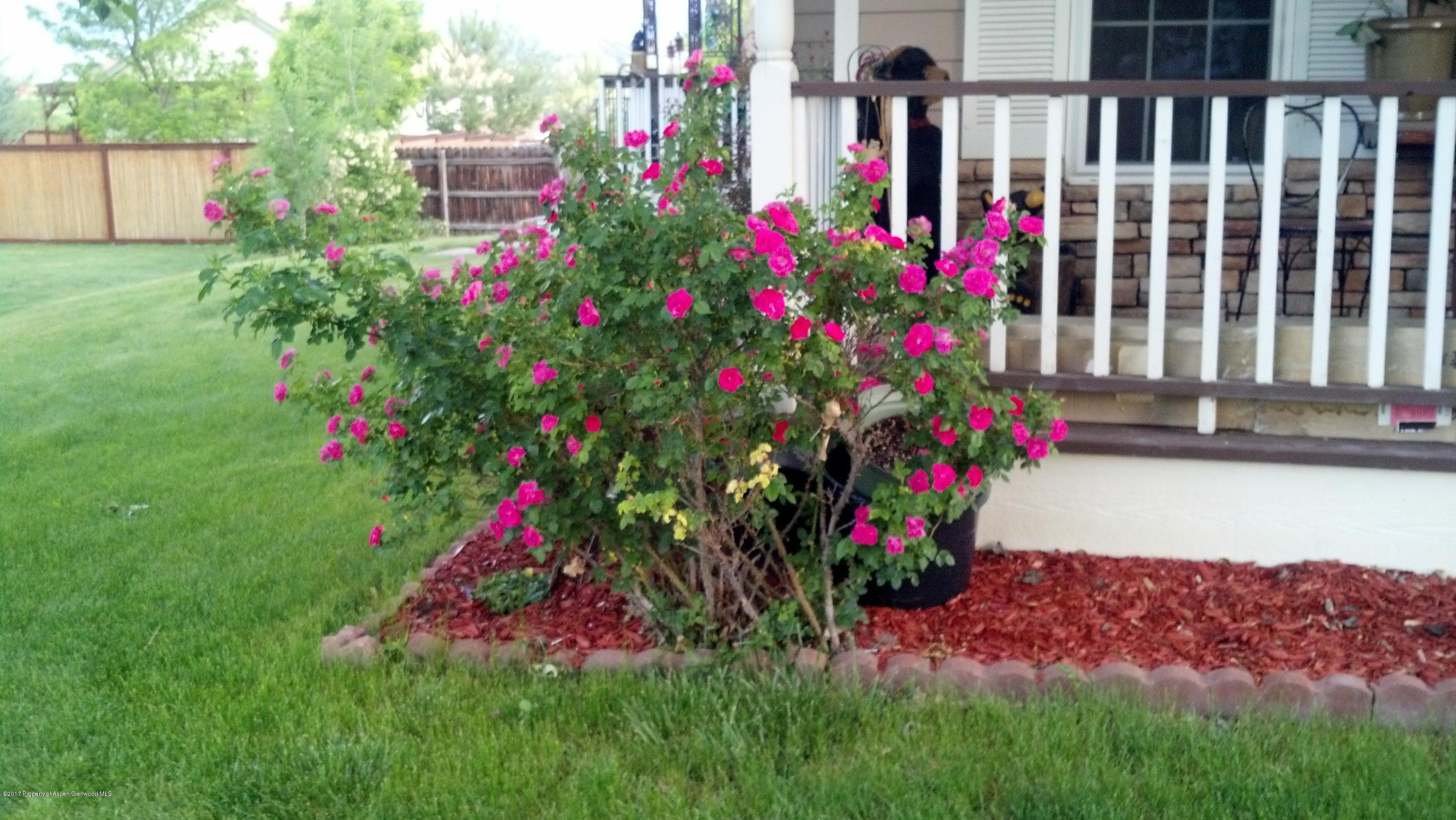 258 S Golden Drive Silt CO 81652