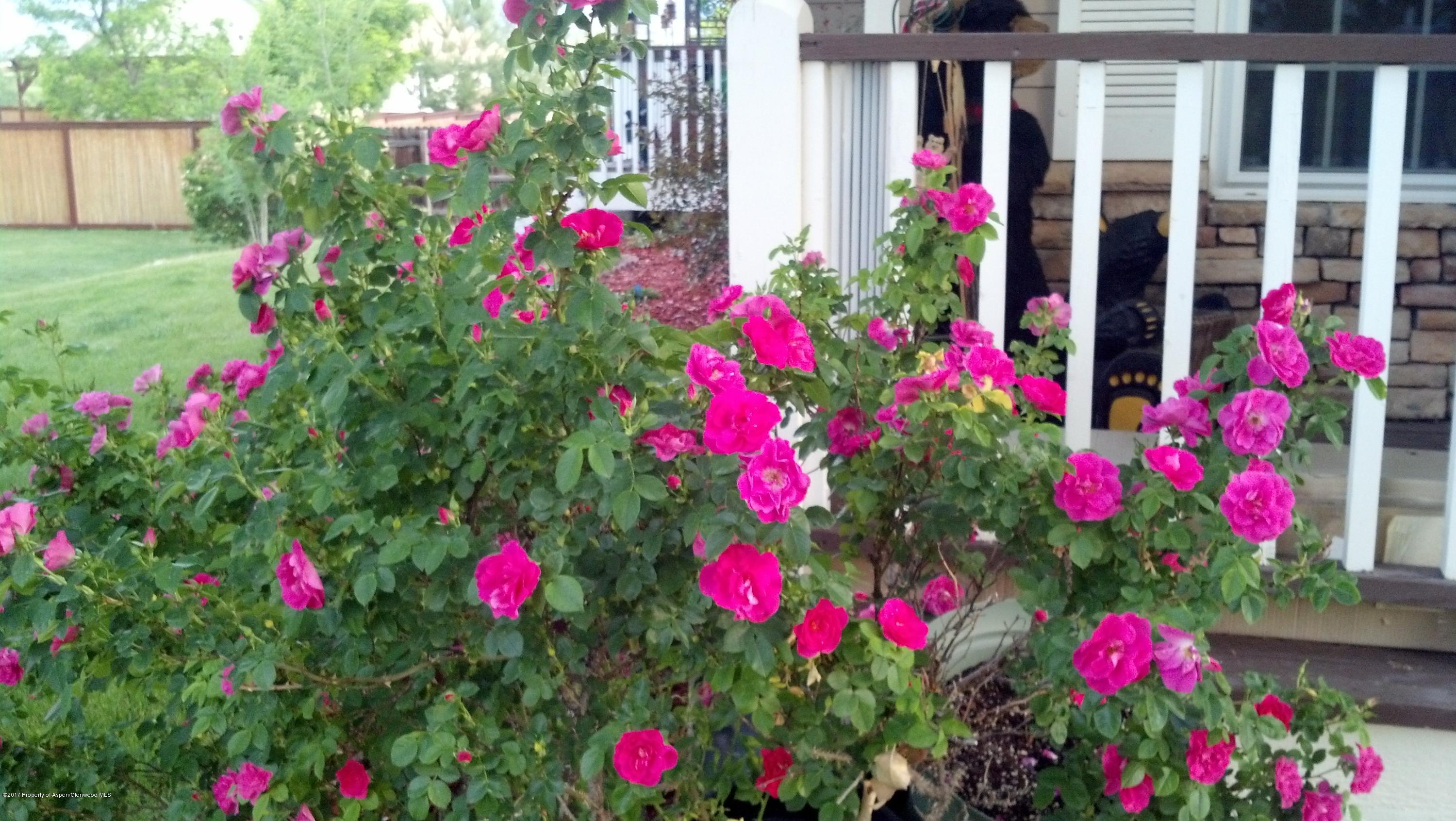 258 S Golden Drive Silt CO 81652