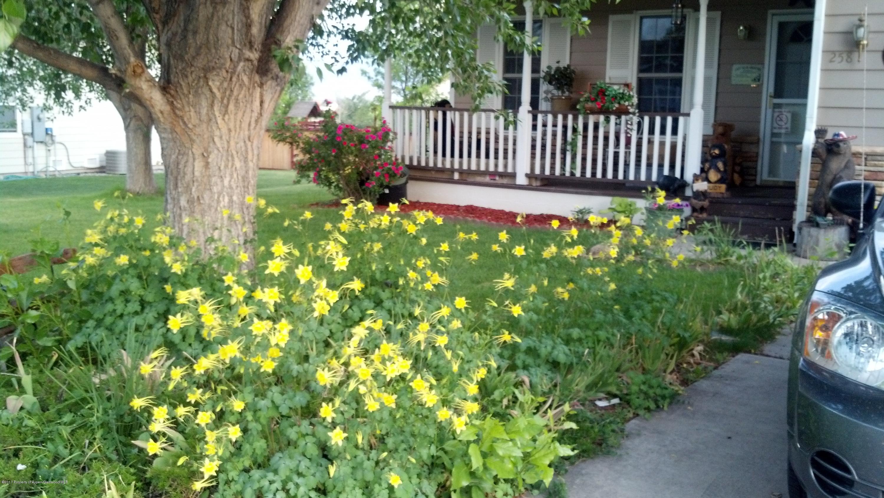 258 S Golden Drive Silt CO 81652