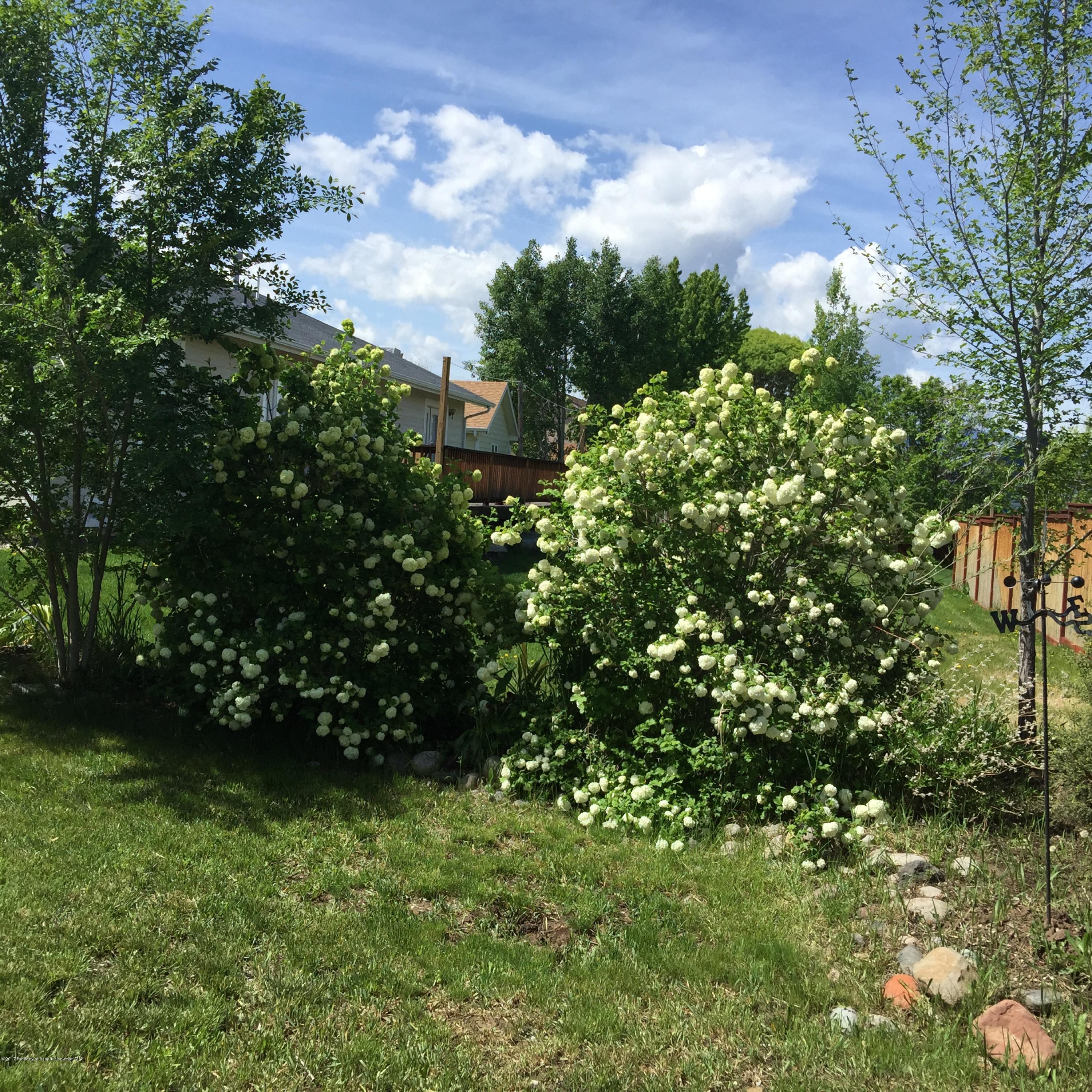 258 S Golden Drive Silt CO 81652
