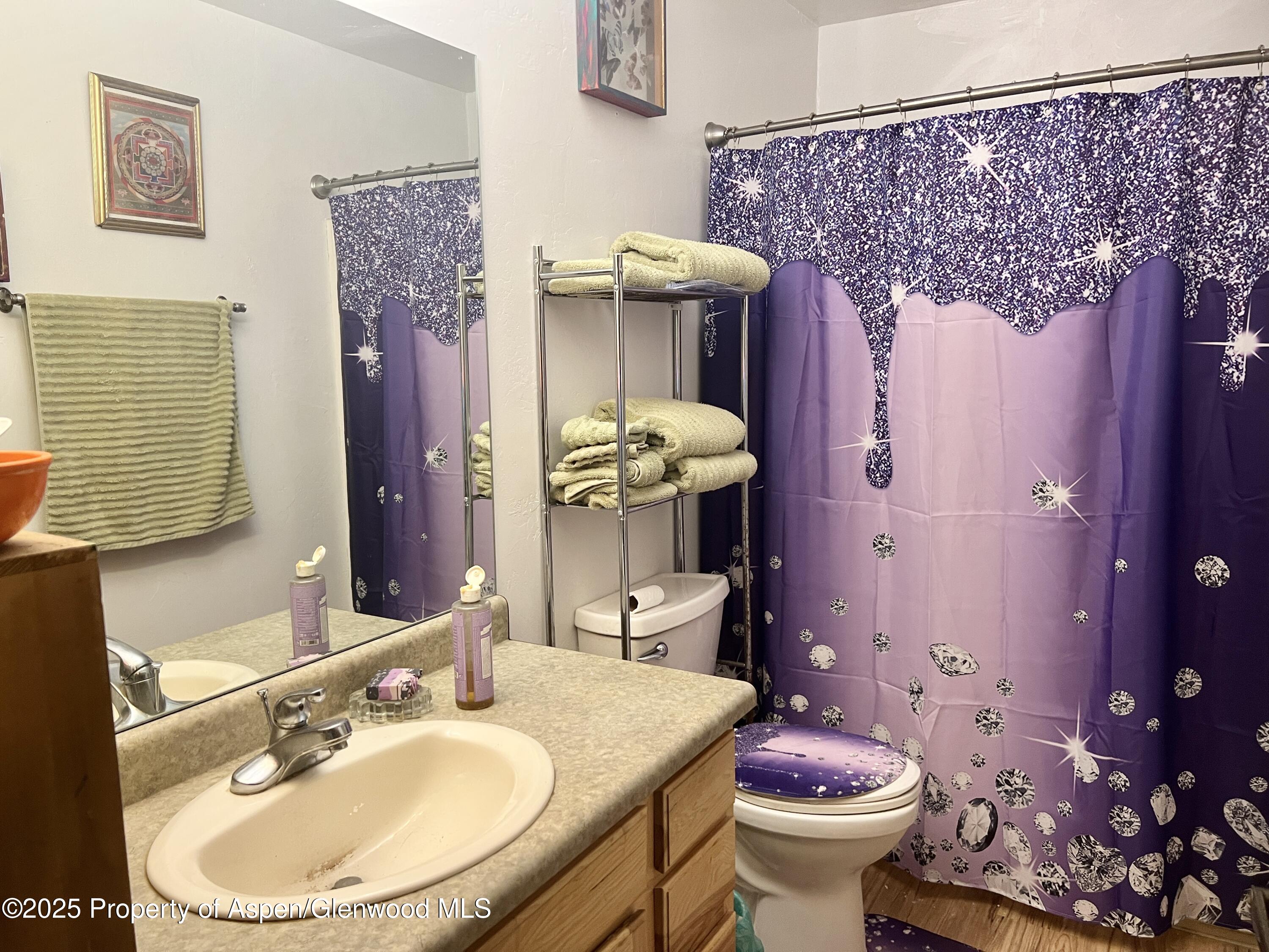 459 Rio Grande Avenue New Castle CO 81647