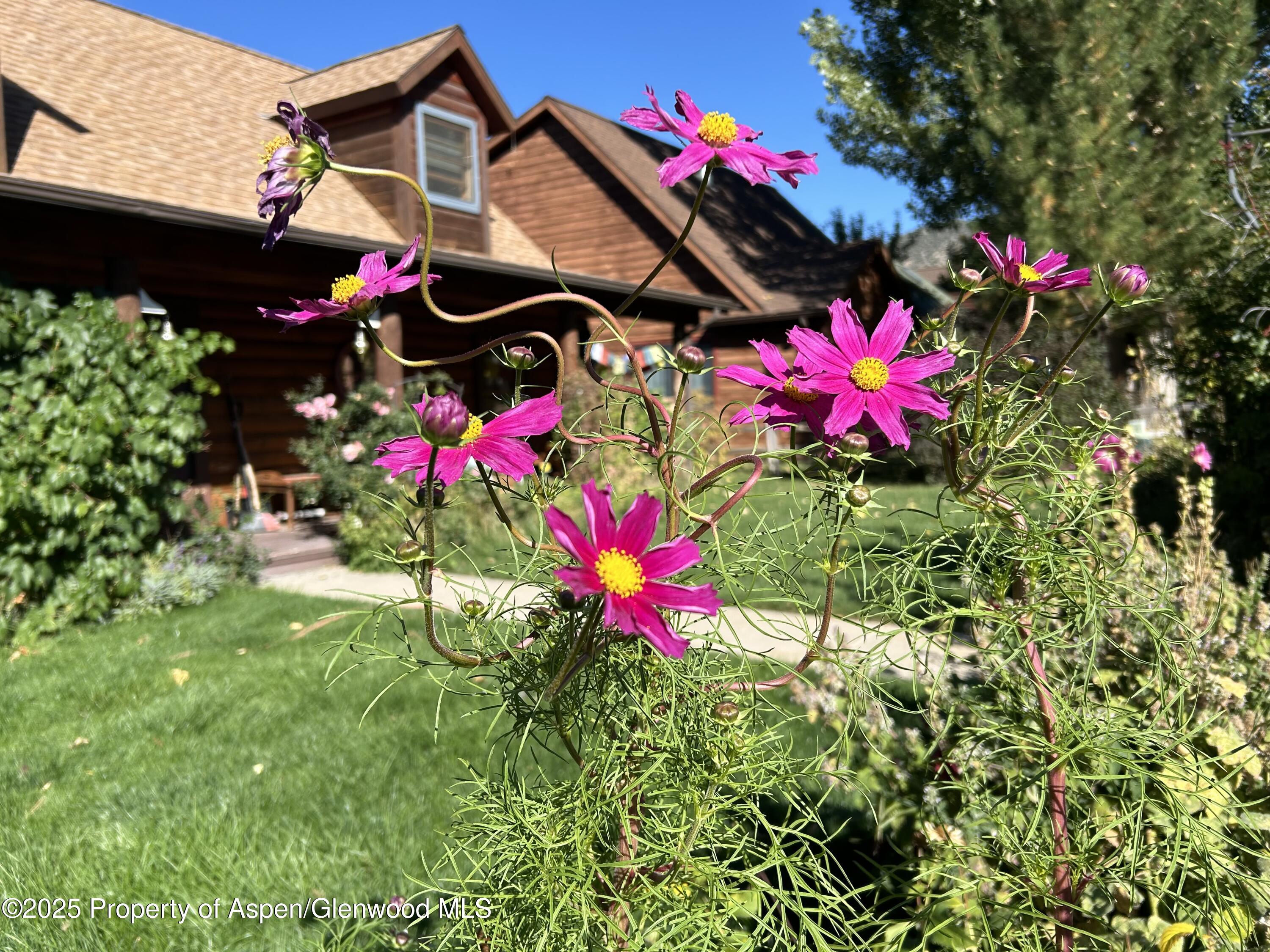 459 Rio Grande Avenue New Castle CO 81647