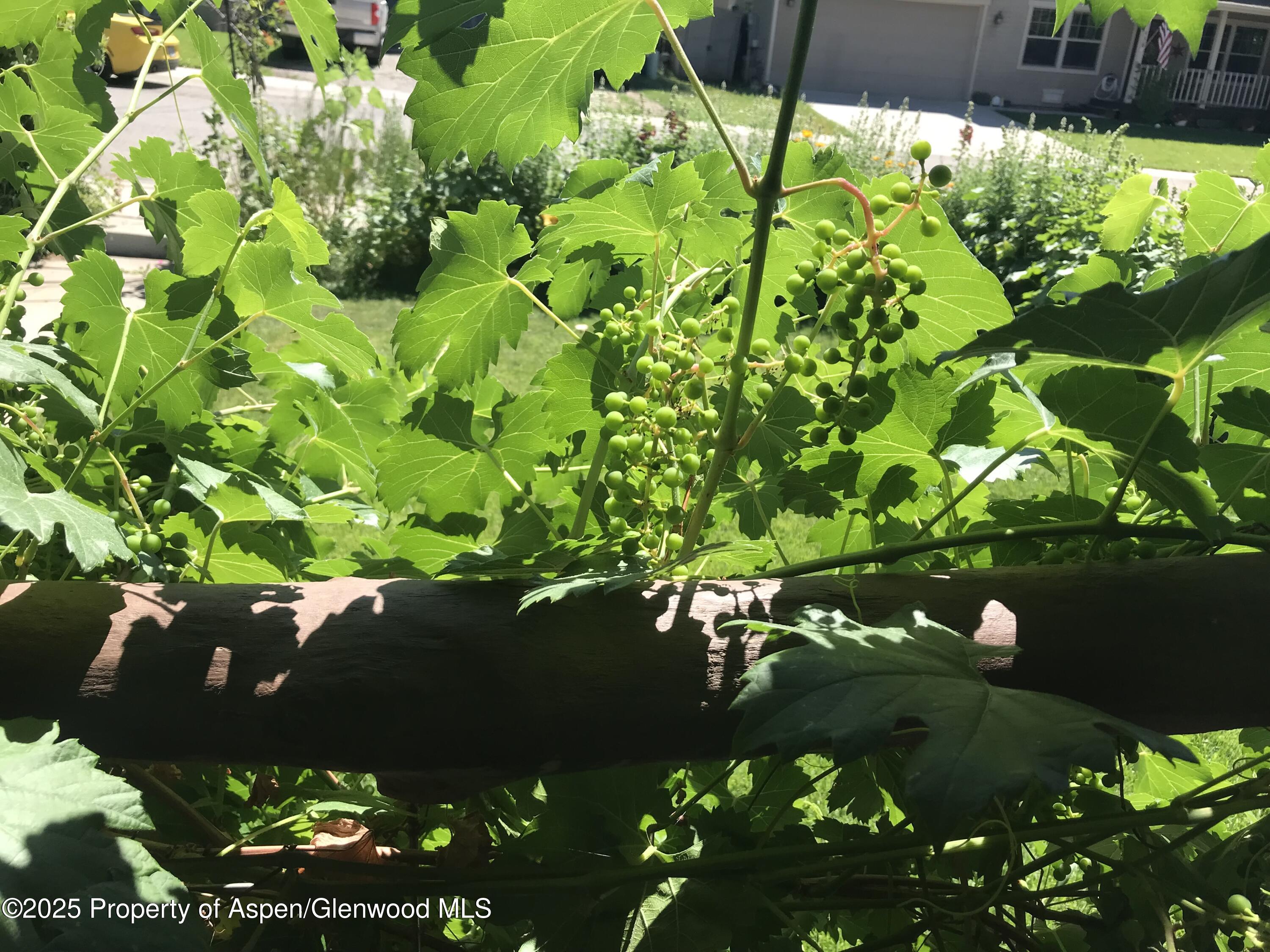 459 Rio Grande Avenue New Castle CO 81647