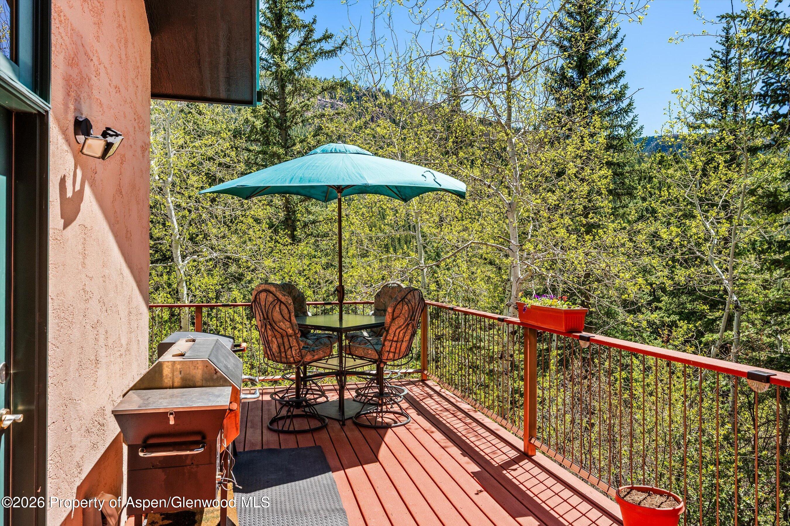 200 Elk Mountain Drive Redstone CO 81623