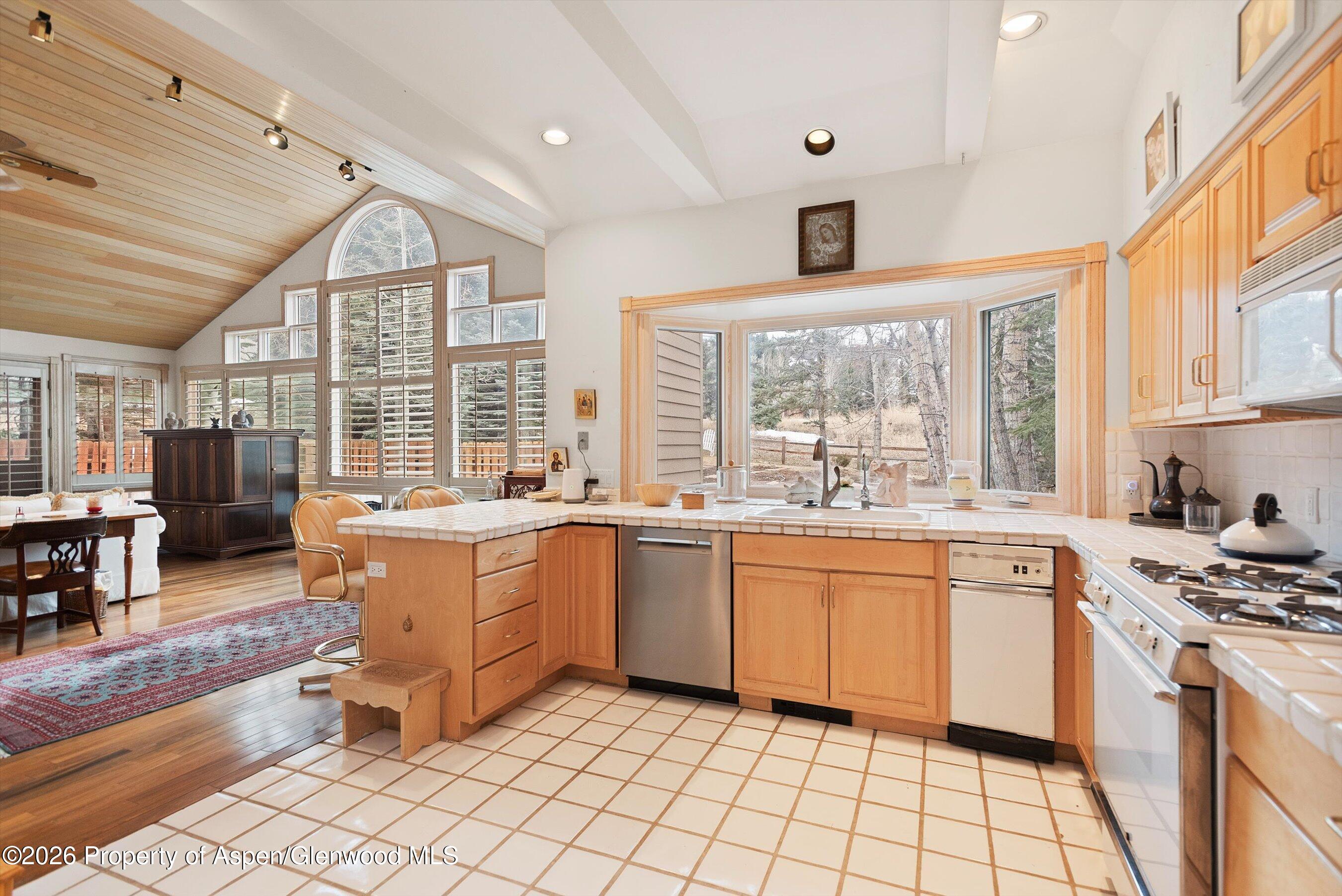 81 Fairway Drive Snowmass Village CO 81615