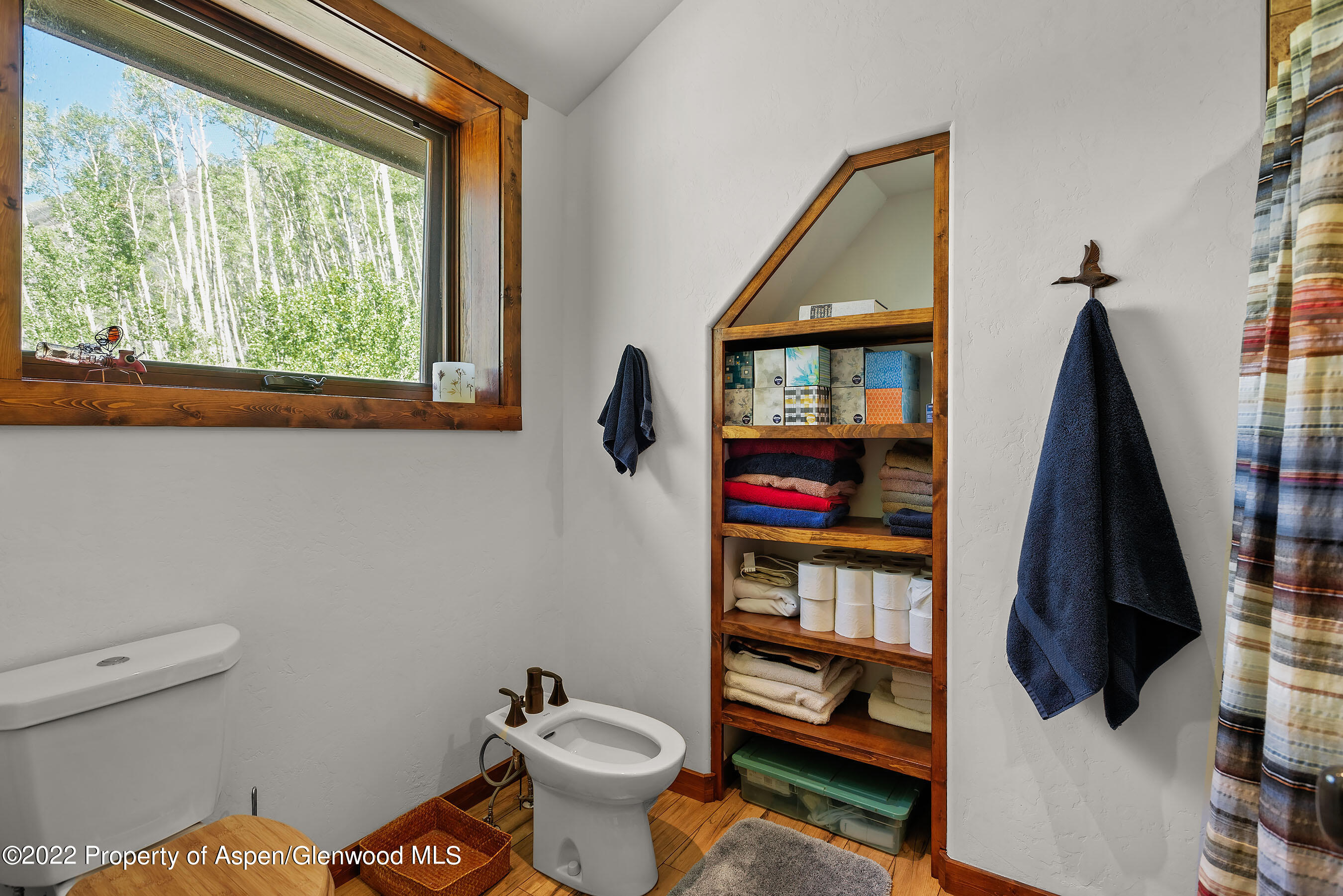 1705 W Village Drive Marble CO 81623