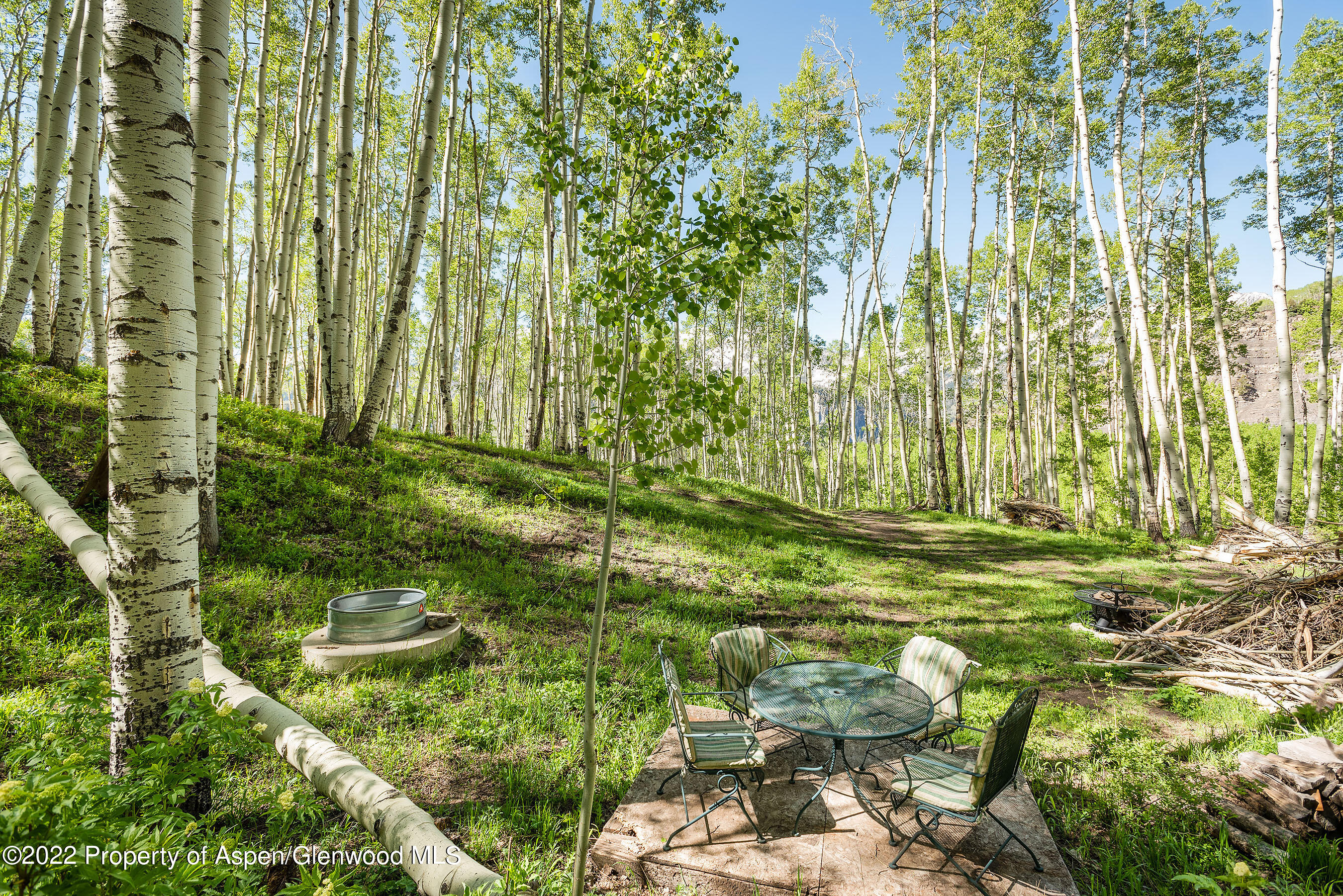 1705 W Village Drive Marble CO 81623