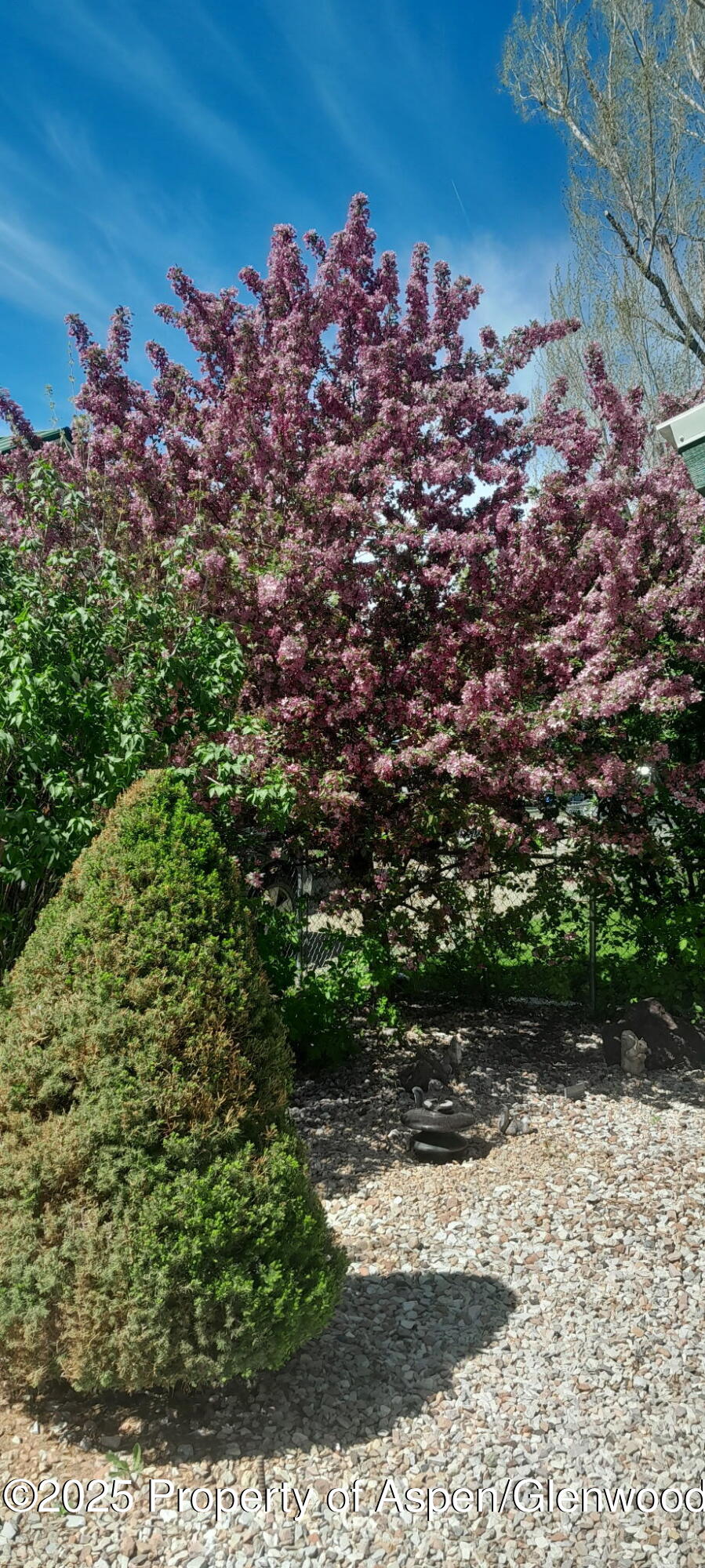 595 Colorado Street Craig CO 81625