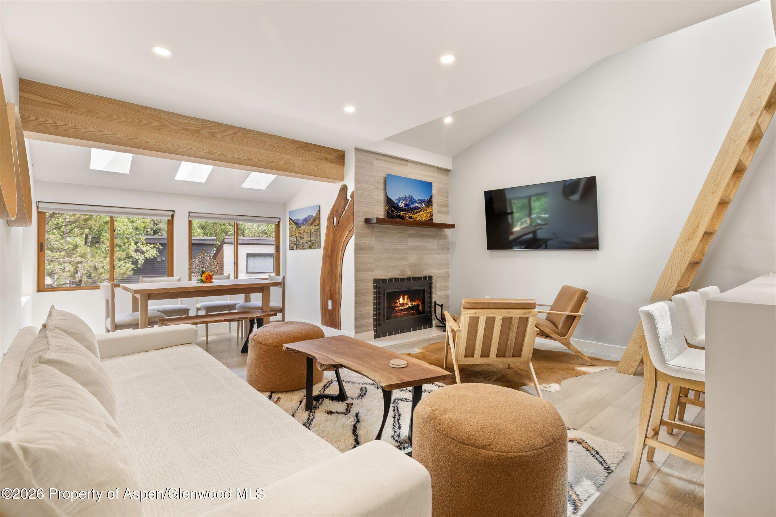 Aspen CO, 910 W Hallam Street, Unit 9