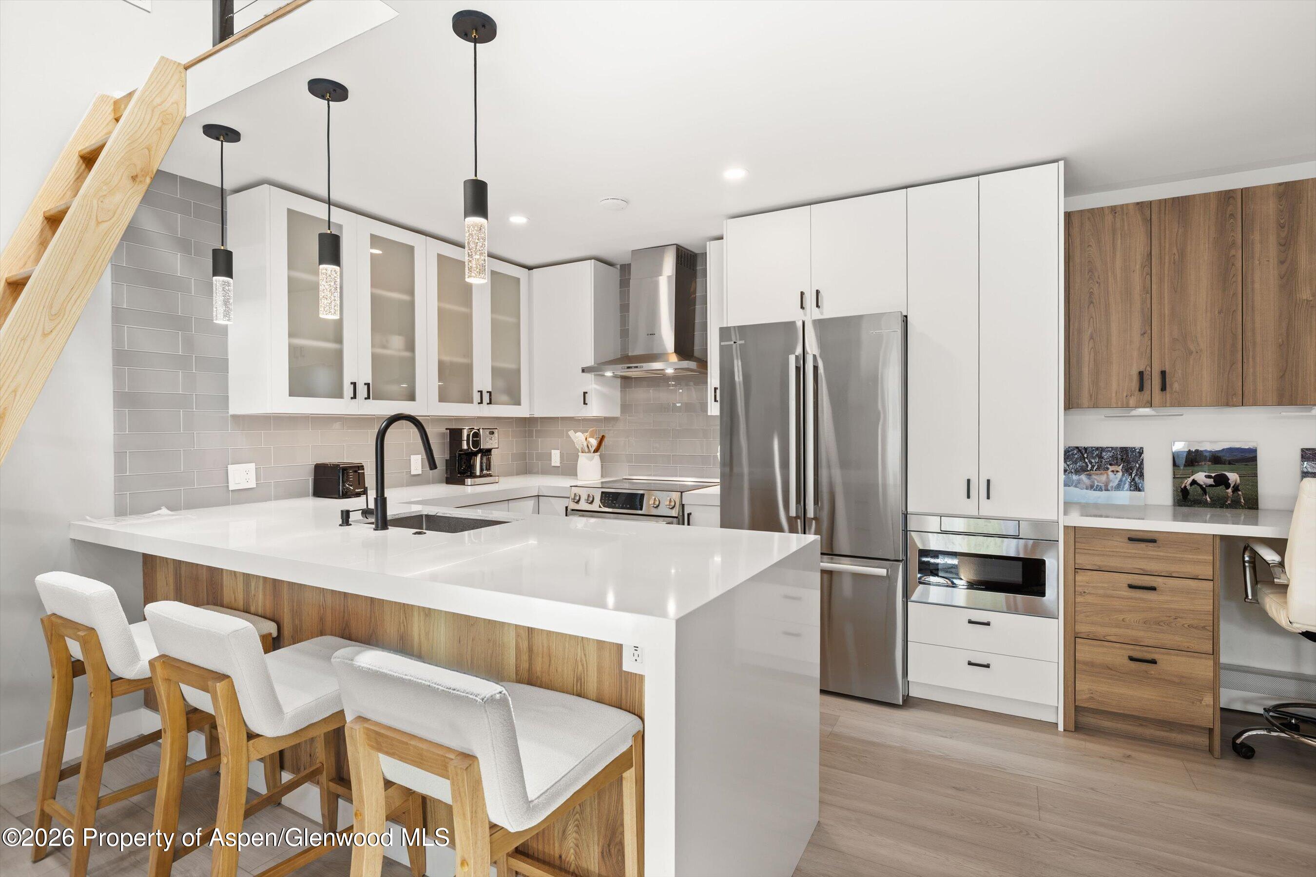 910 W Hallam Street Aspen CO 81611