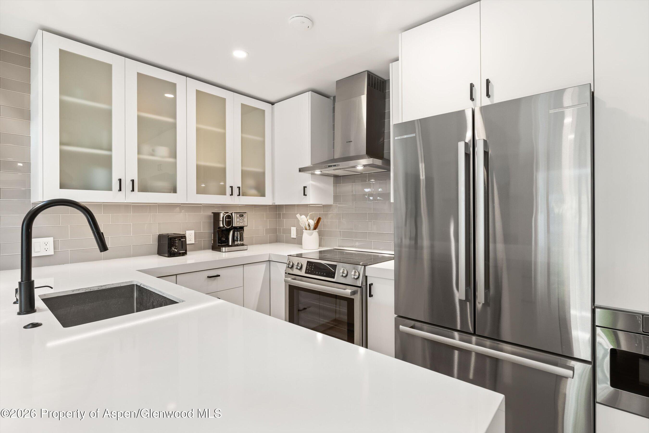 910 W Hallam Street Aspen CO 81611