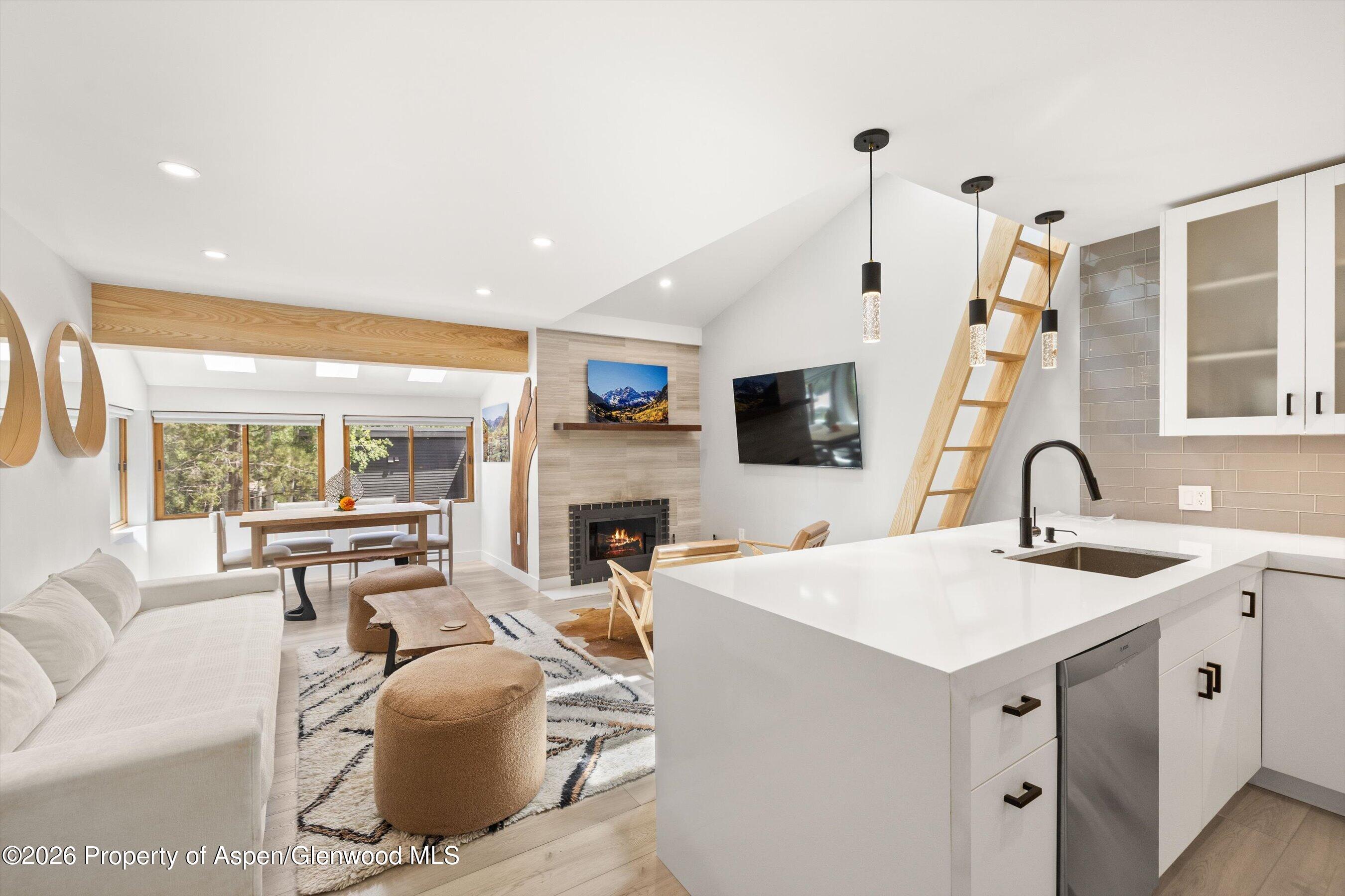 910 W Hallam Street Aspen CO 81611