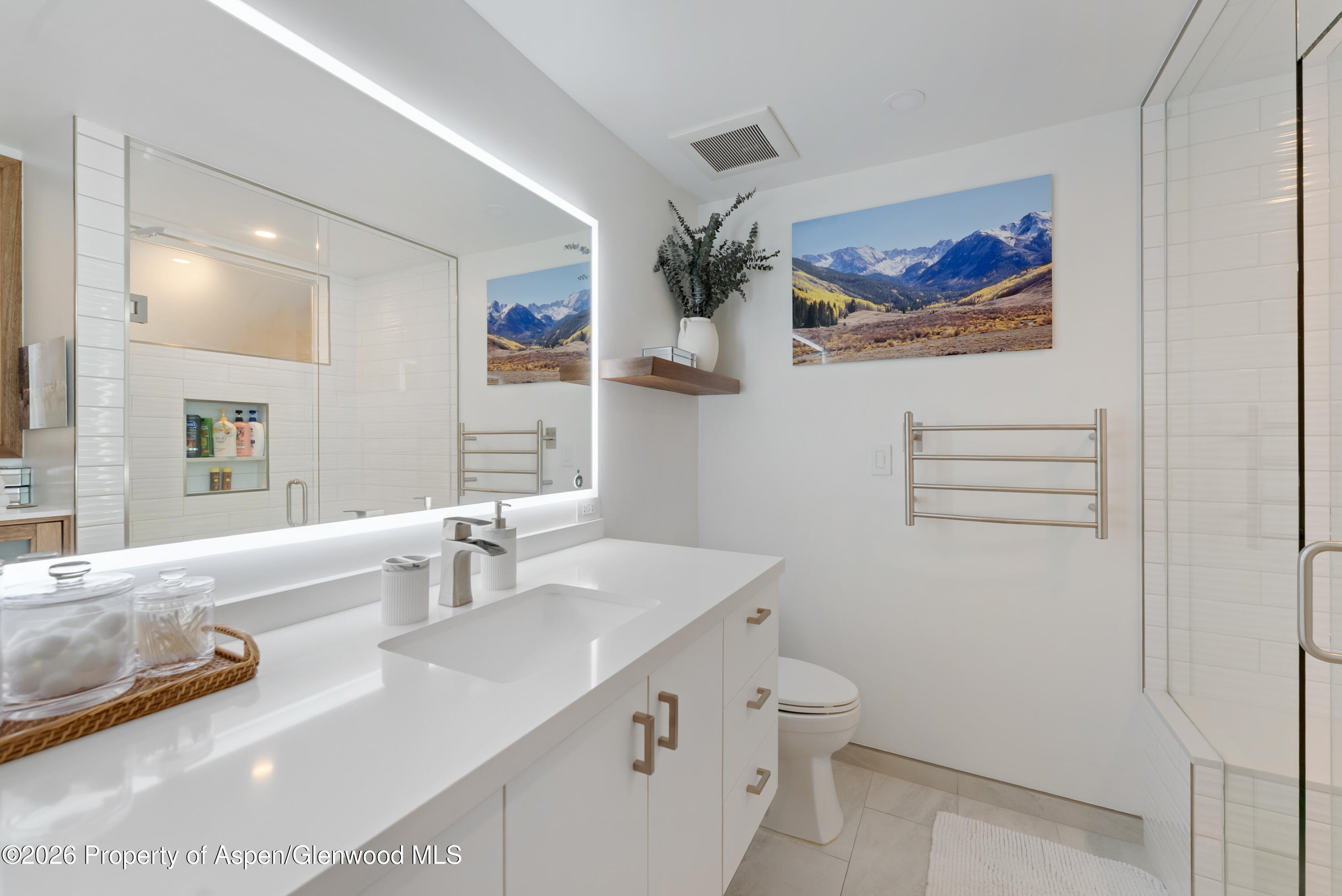 910 W Hallam Street Aspen CO 81611