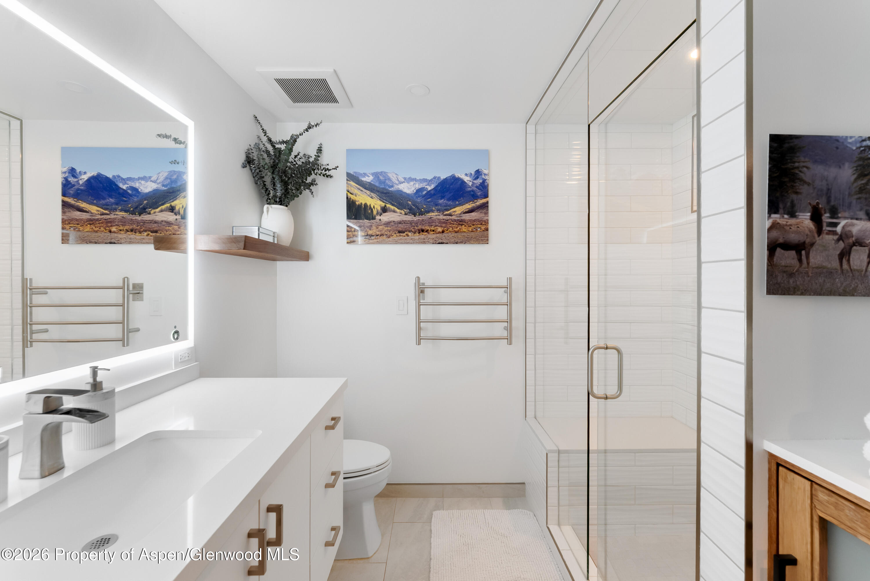 910 W Hallam Street Aspen CO 81611