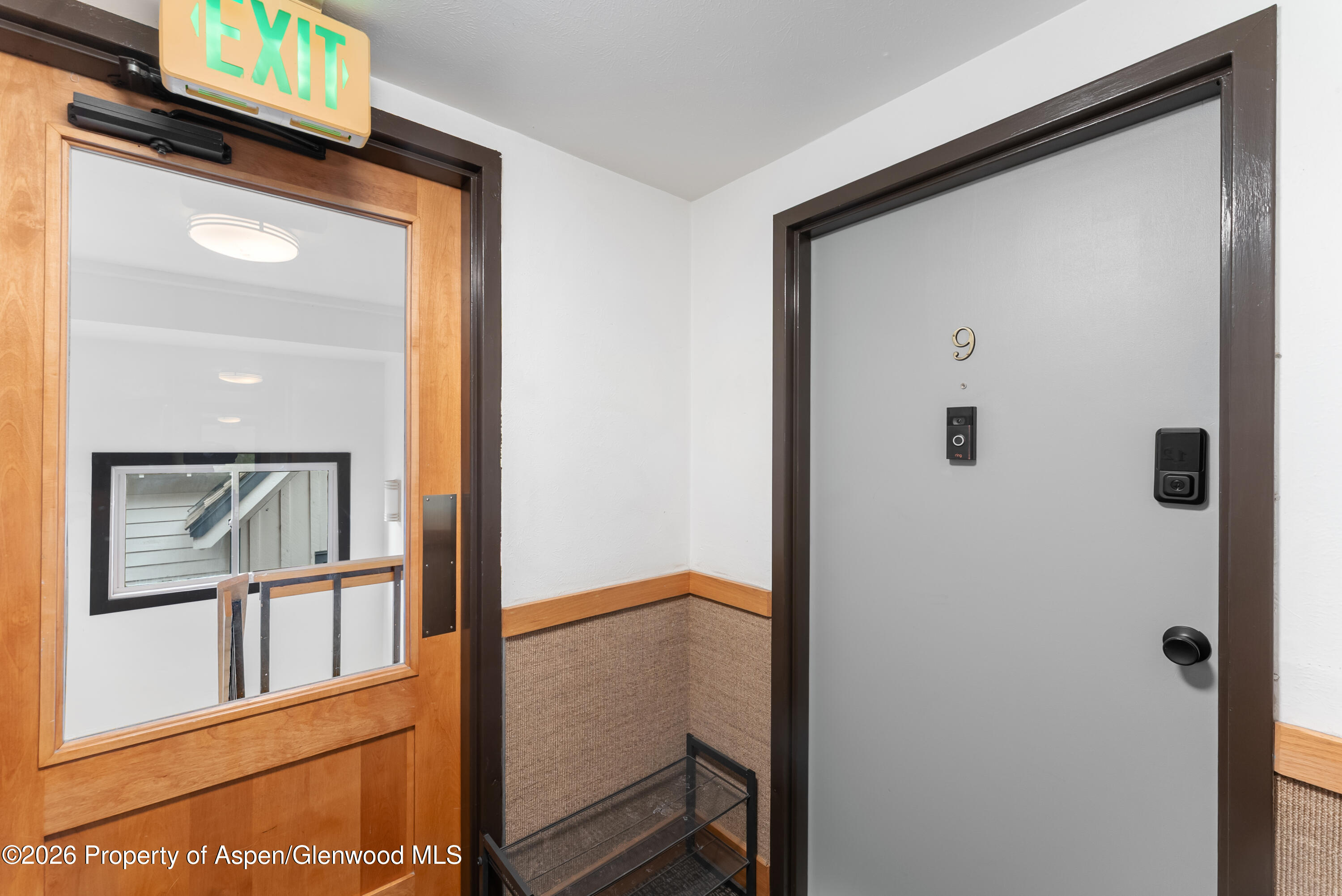 910 W Hallam Street Aspen CO 81611