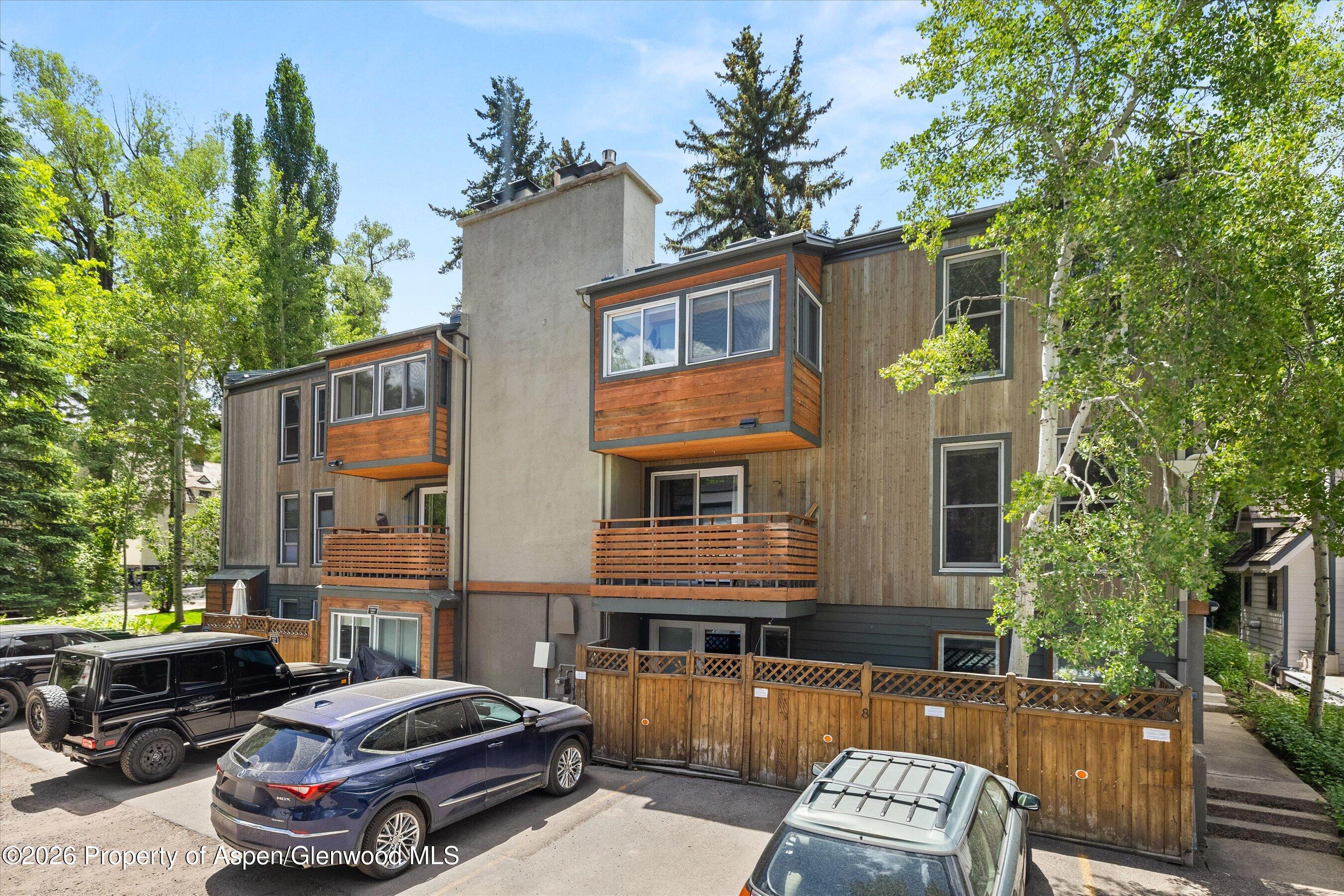 910 W Hallam Street Aspen CO 81611