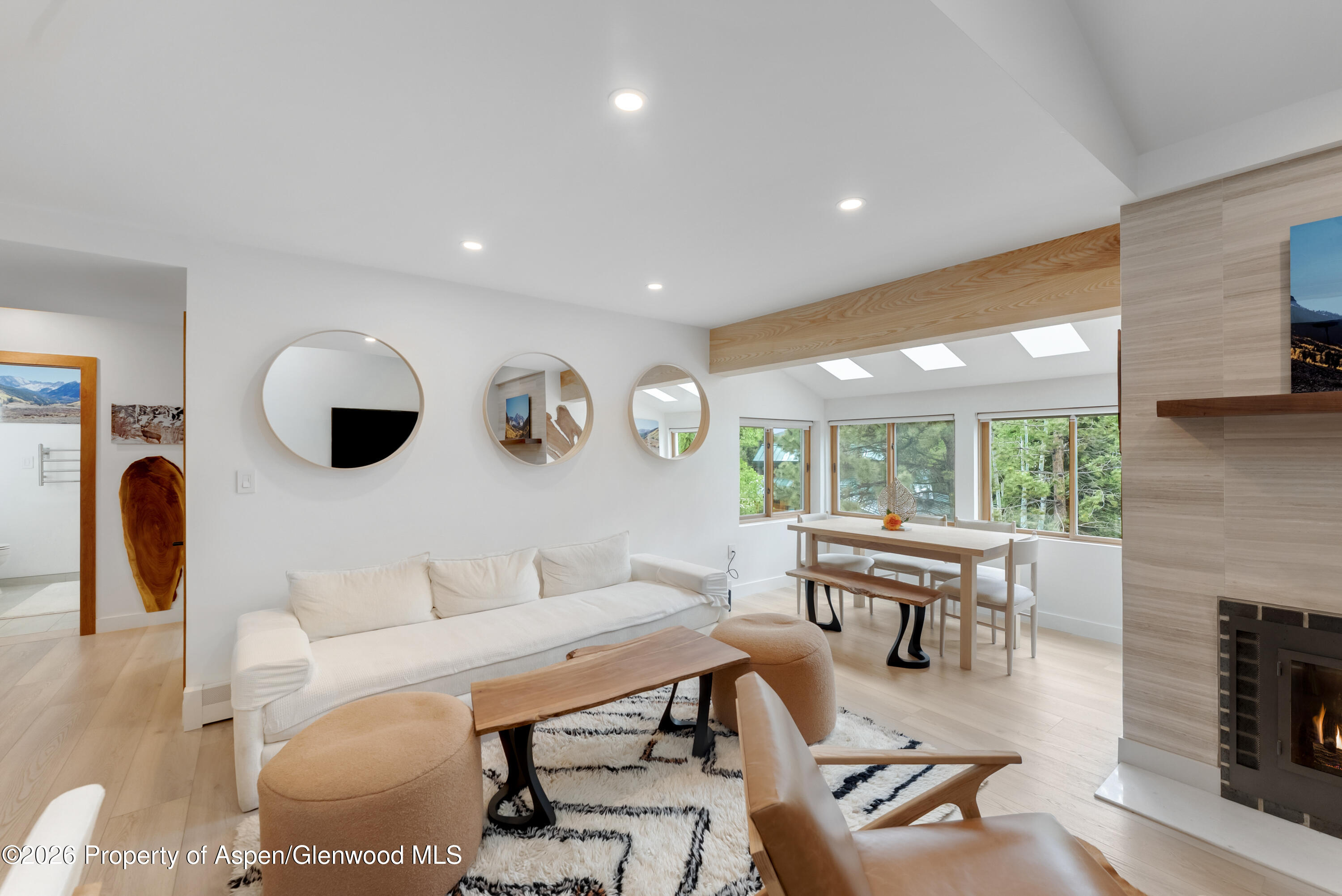 910 W Hallam Street Aspen CO 81611