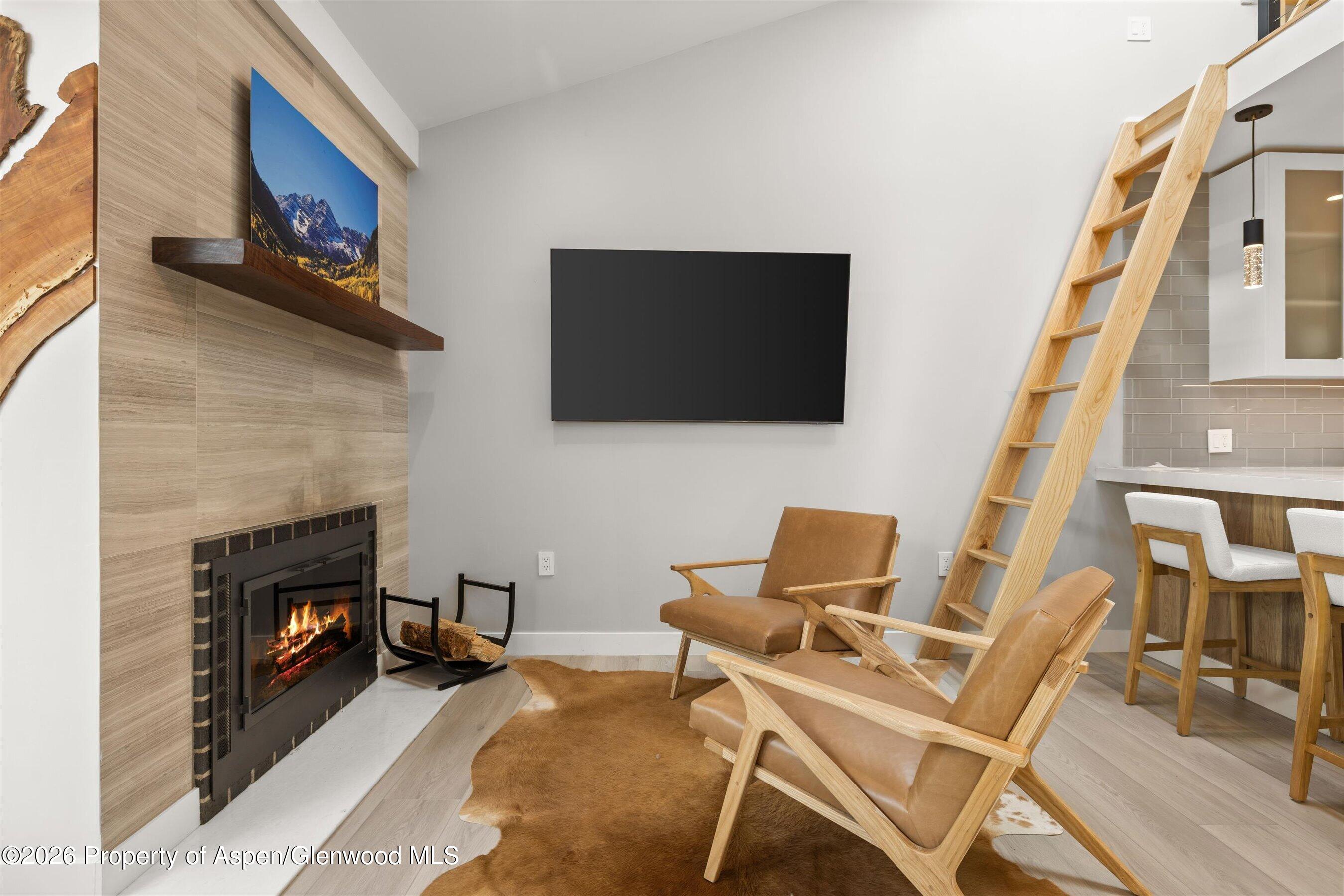 910 W Hallam Street Aspen CO 81611