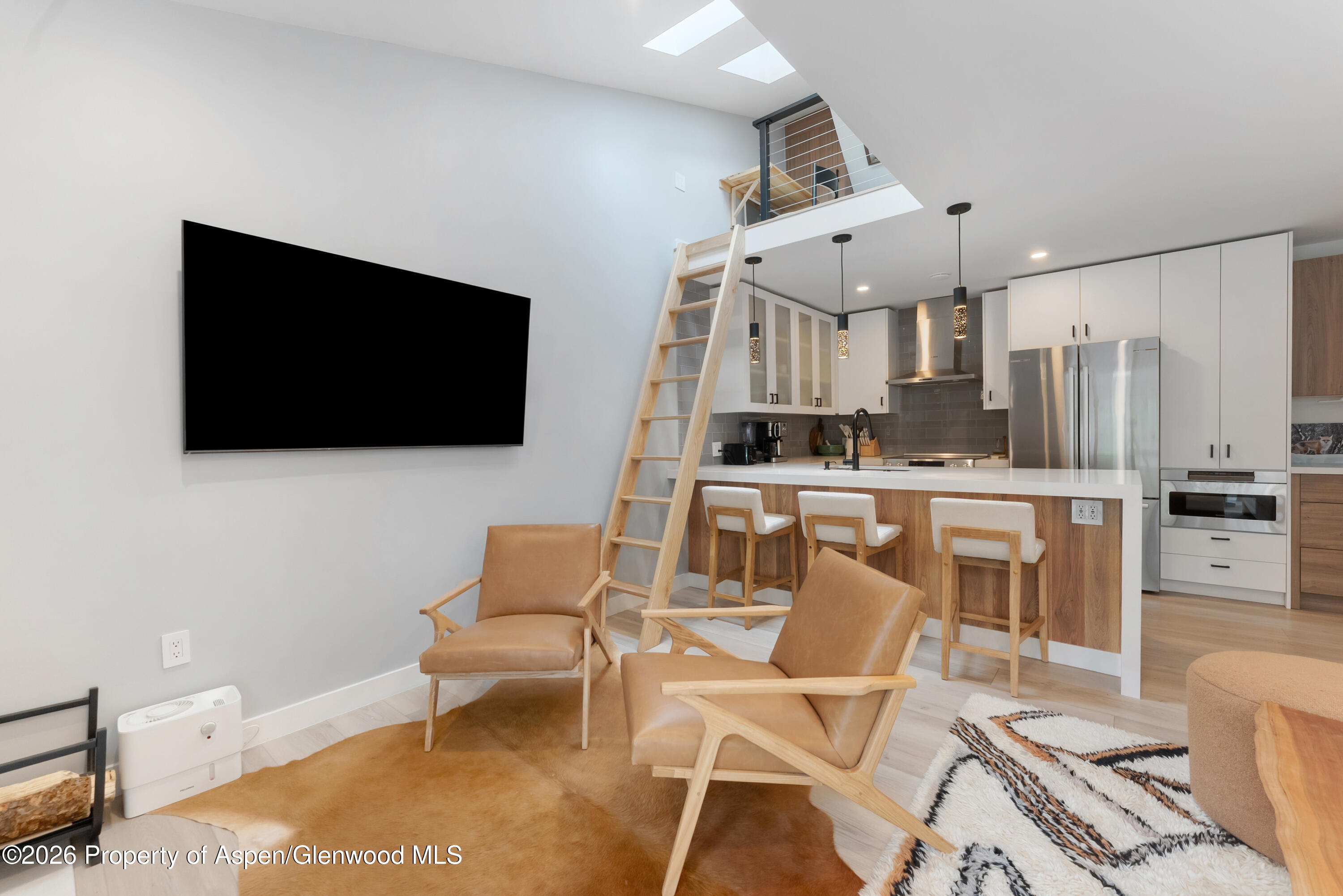 910 W Hallam Street Aspen CO 81611