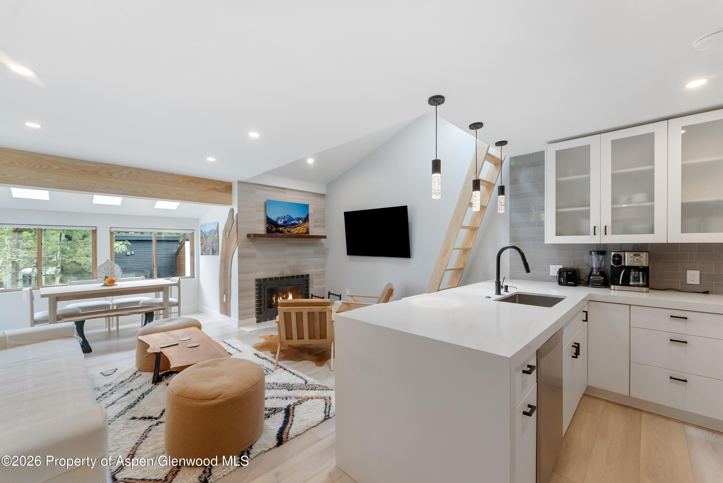 910 W Hallam Street Aspen CO 81611