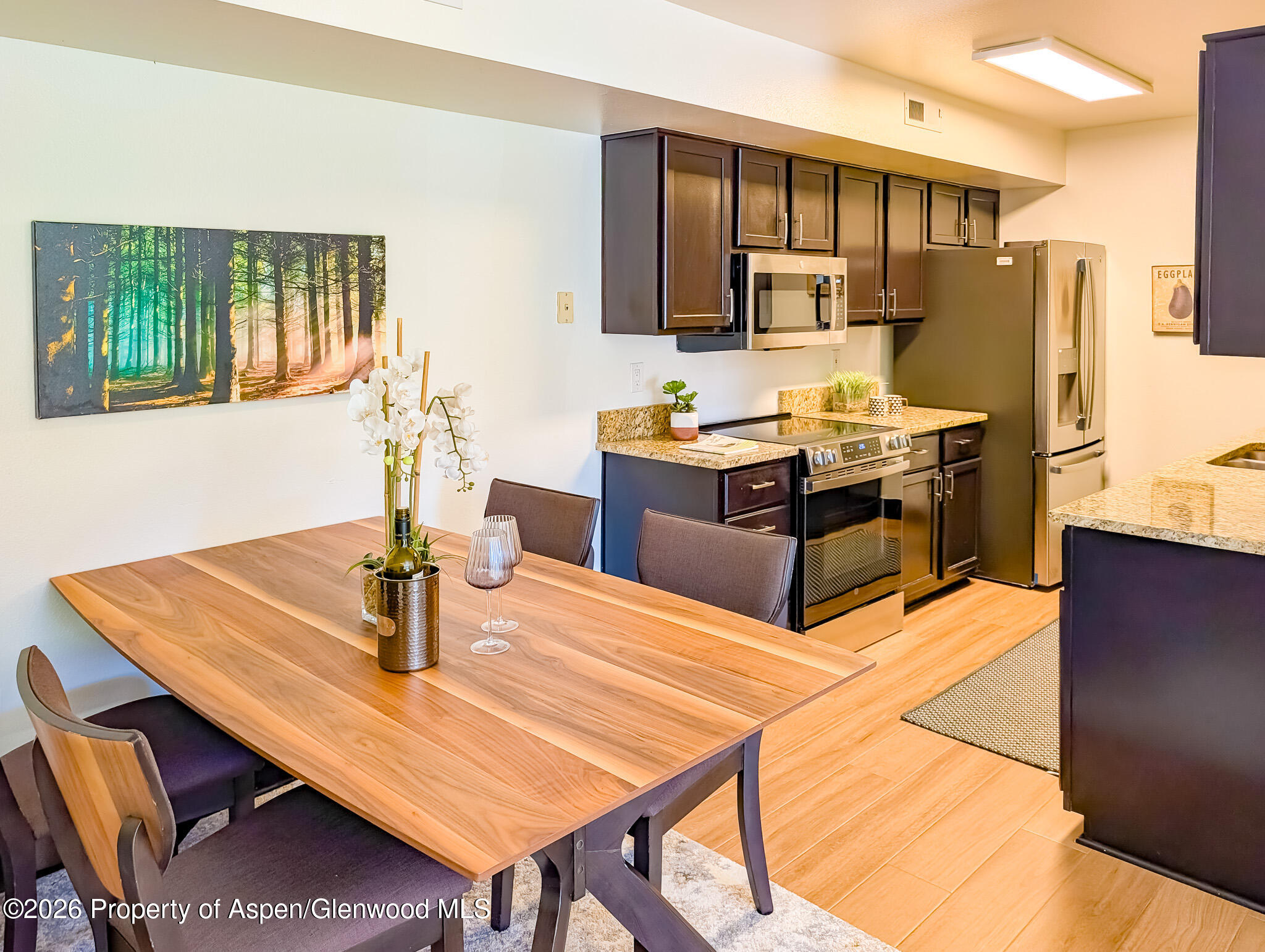 82 Roaring Fork Avenue Carbondale CO 81623