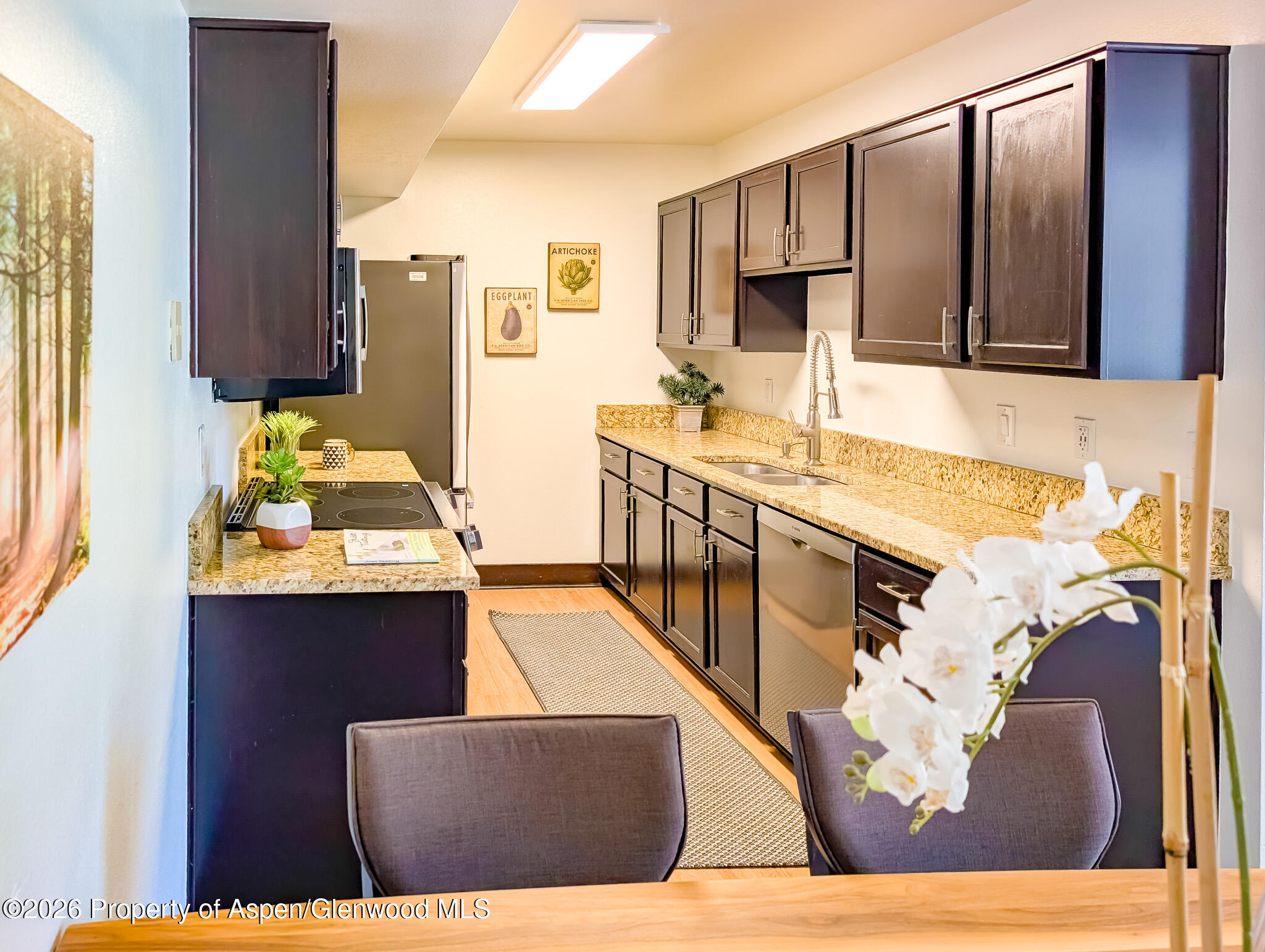 82 Roaring Fork Avenue Carbondale CO 81623