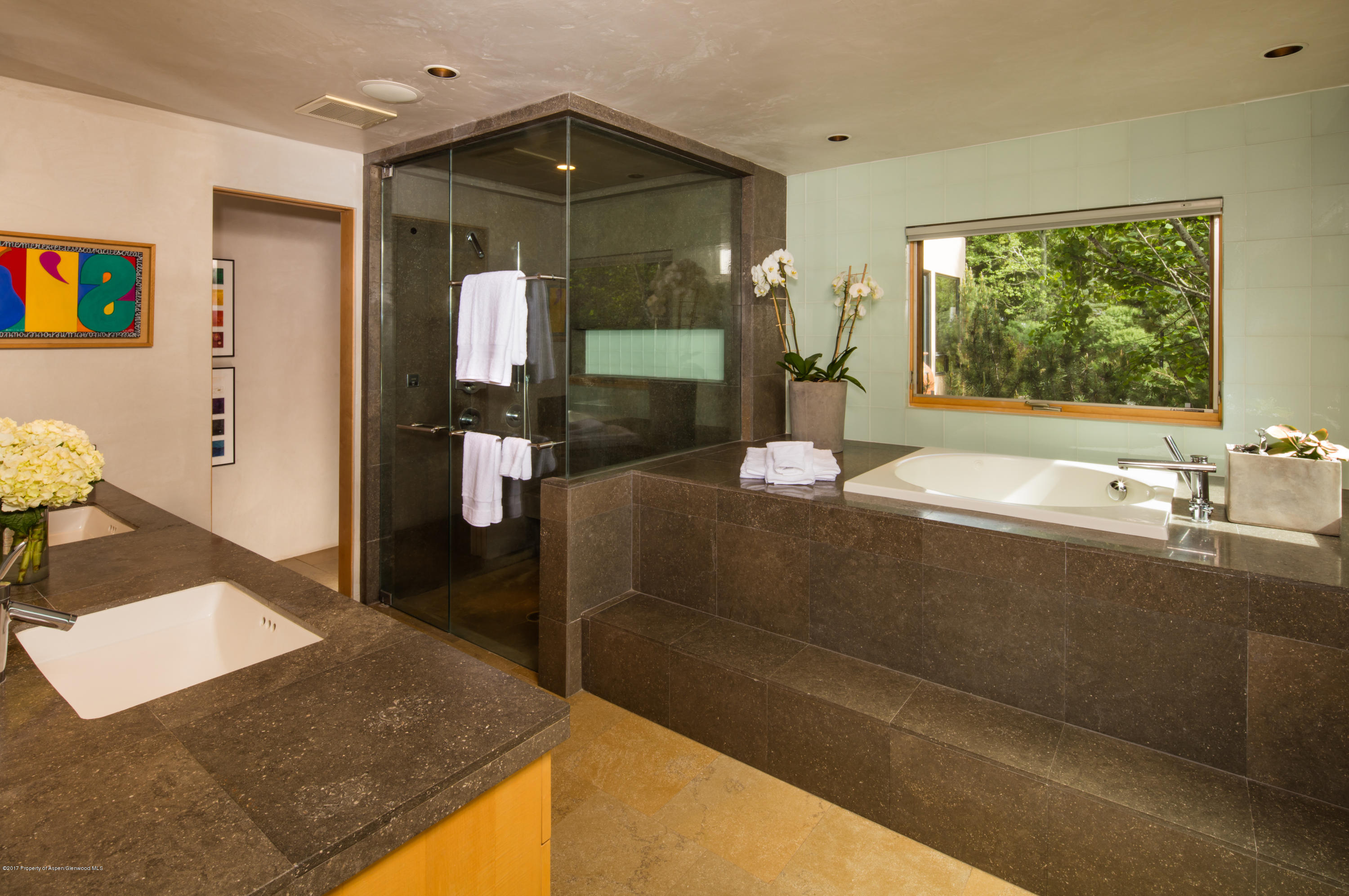 1445 Red Butte Drive Aspen CO 81611