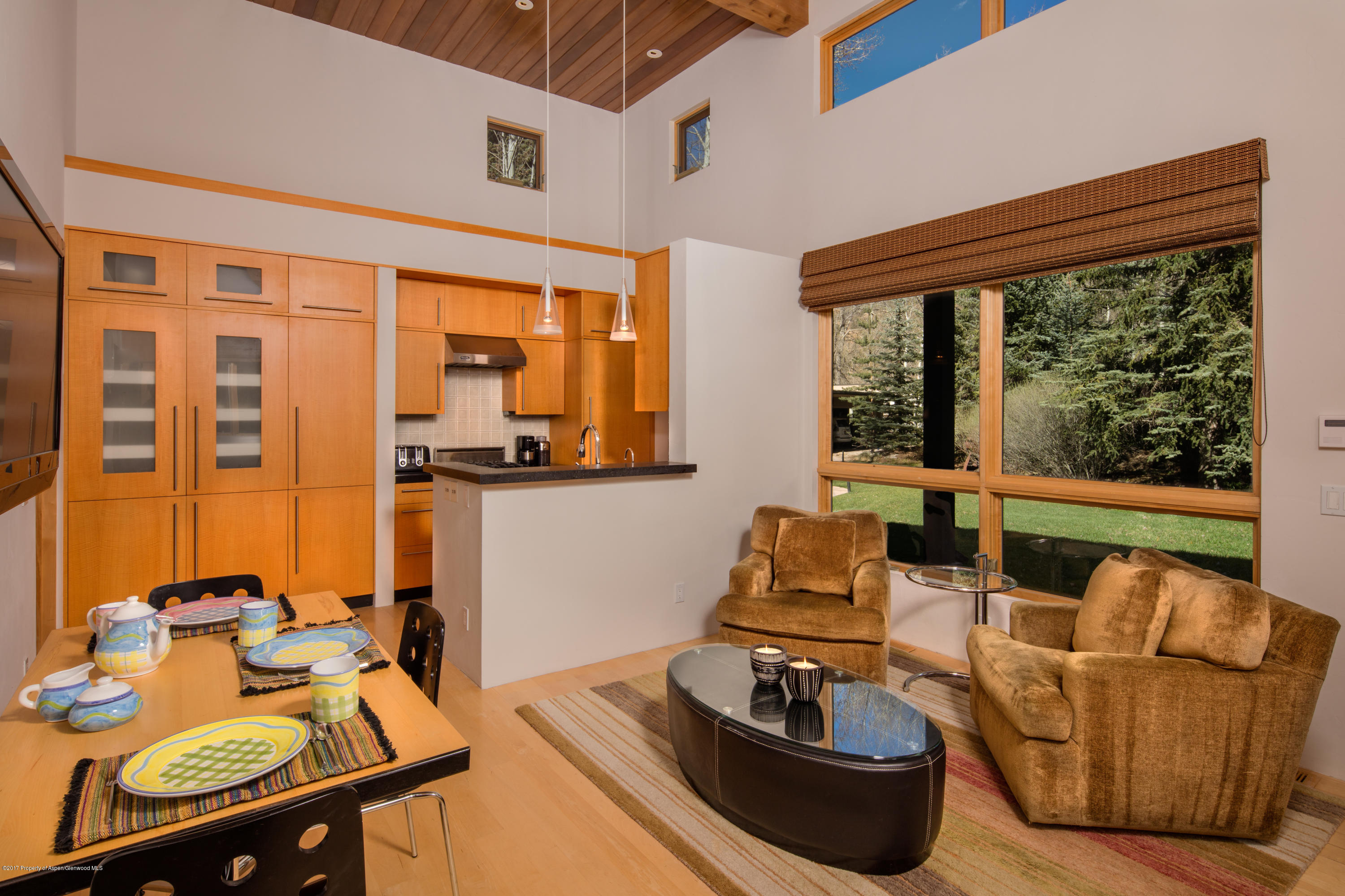 1445 Red Butte Drive Aspen CO 81611