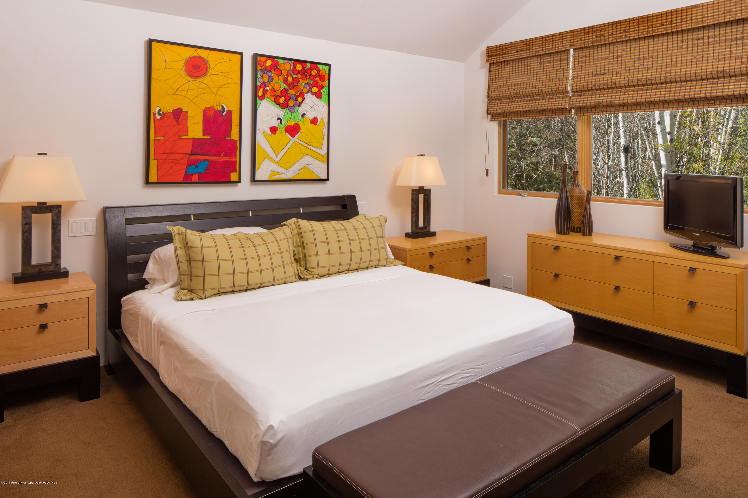 1445 Red Butte Drive Aspen CO 81611