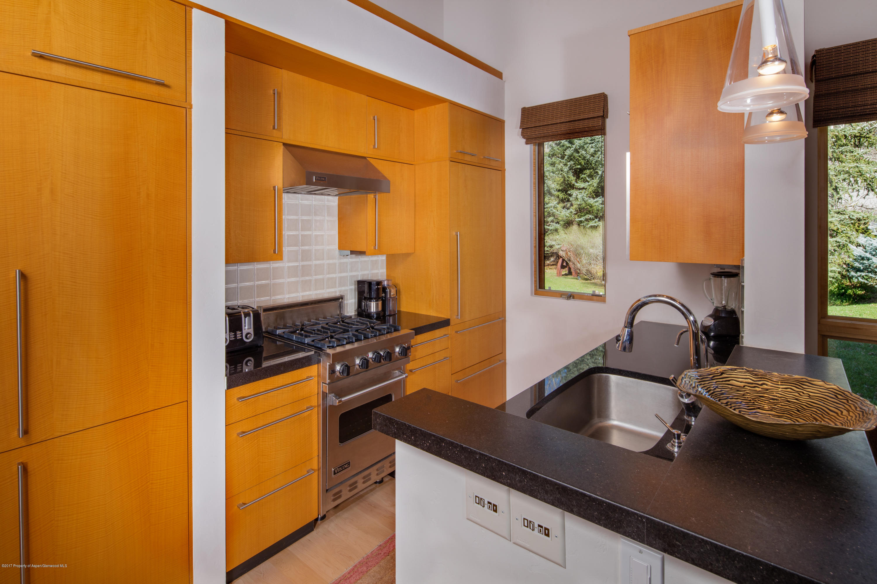 1445 Red Butte Drive Aspen CO 81611