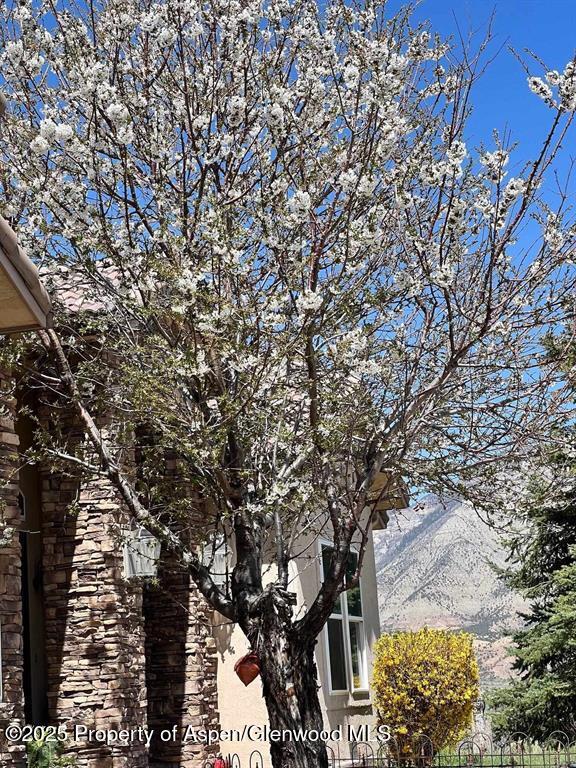 233 Meadow Creek Drive Parachute CO 81635