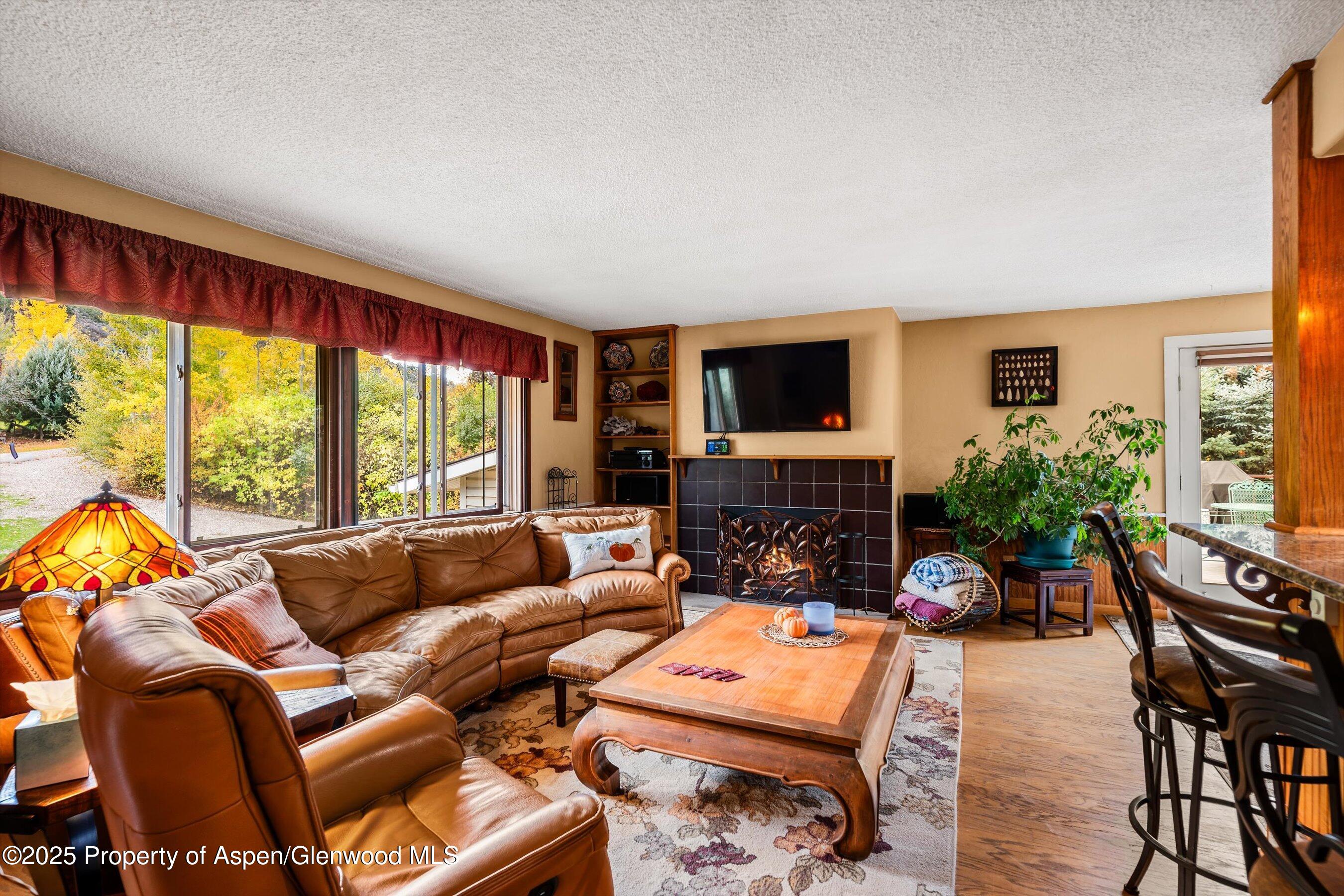 46 Alpine Court Glenwood Springs CO 81601