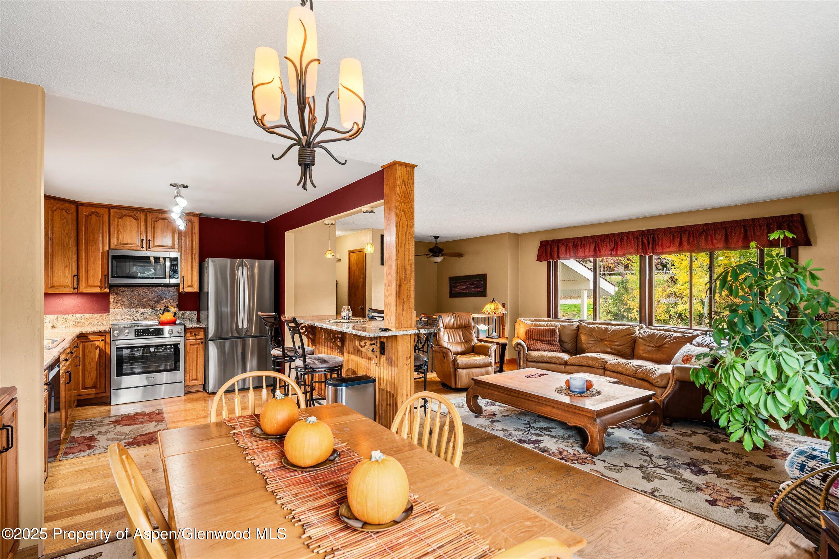 46 Alpine Court Glenwood Springs CO 81601