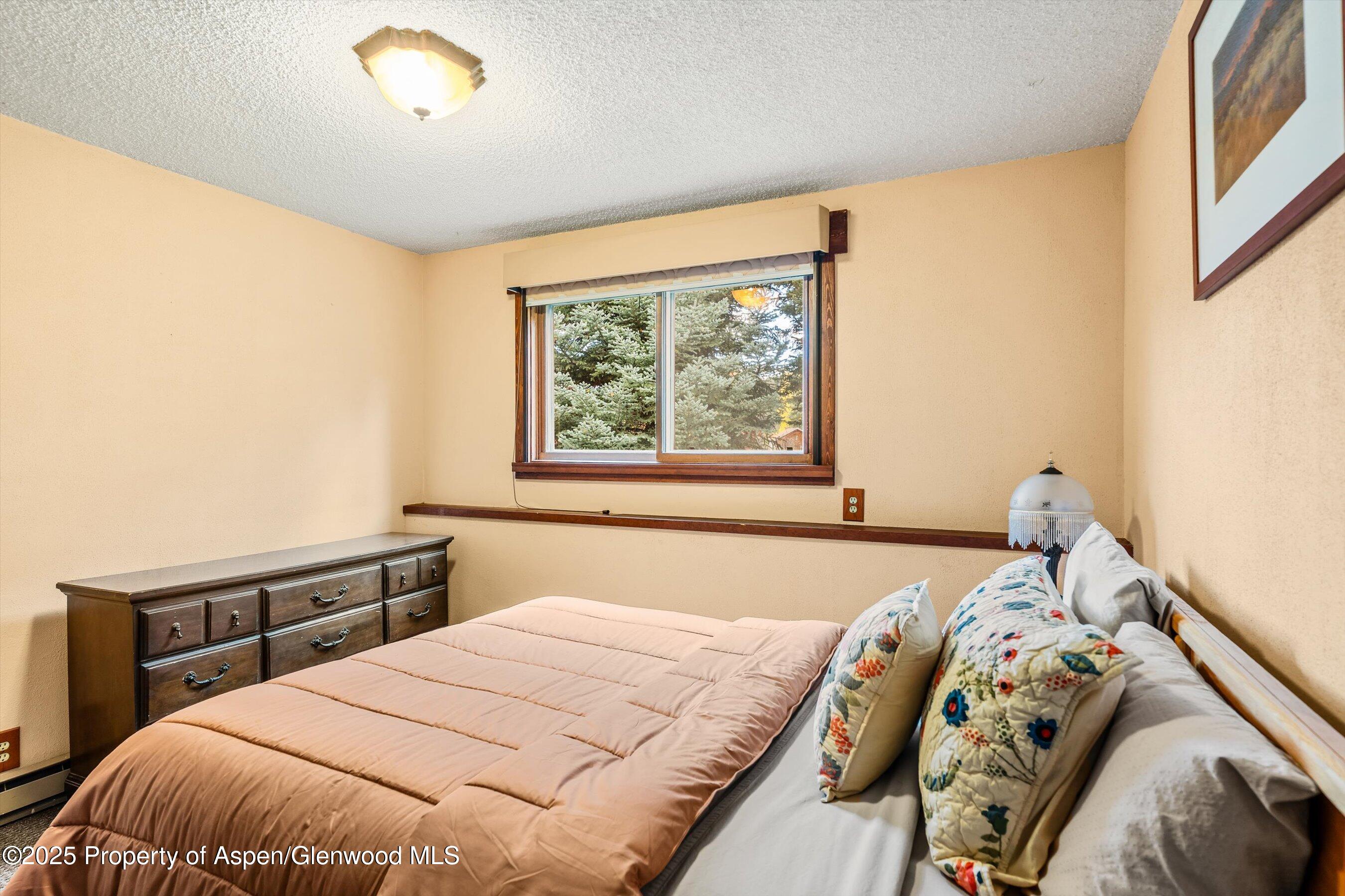 46 Alpine Court Glenwood Springs CO 81601